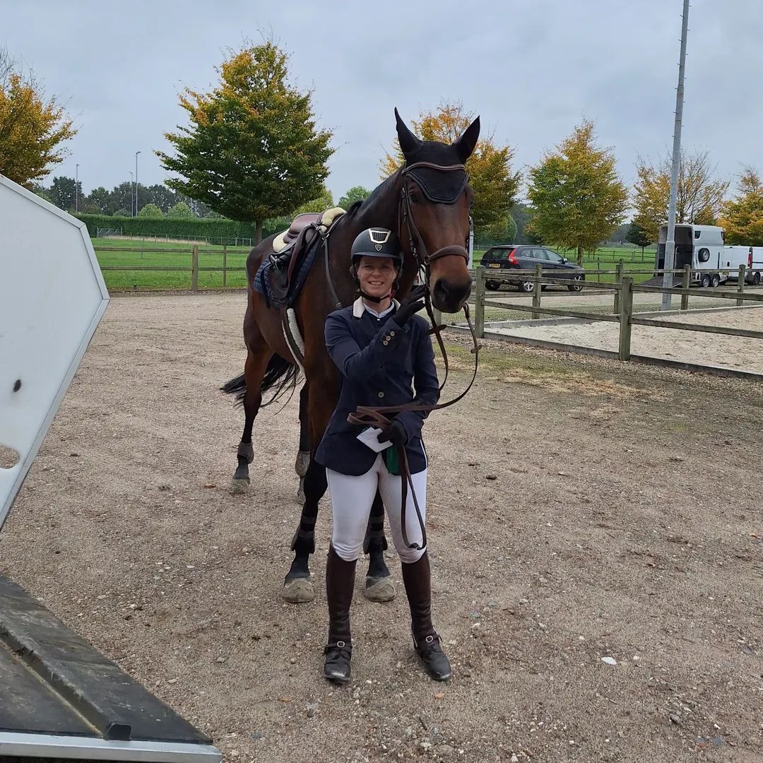 kwpn springpaard merrie 9 years old donkerbruin for sale - Photo 6