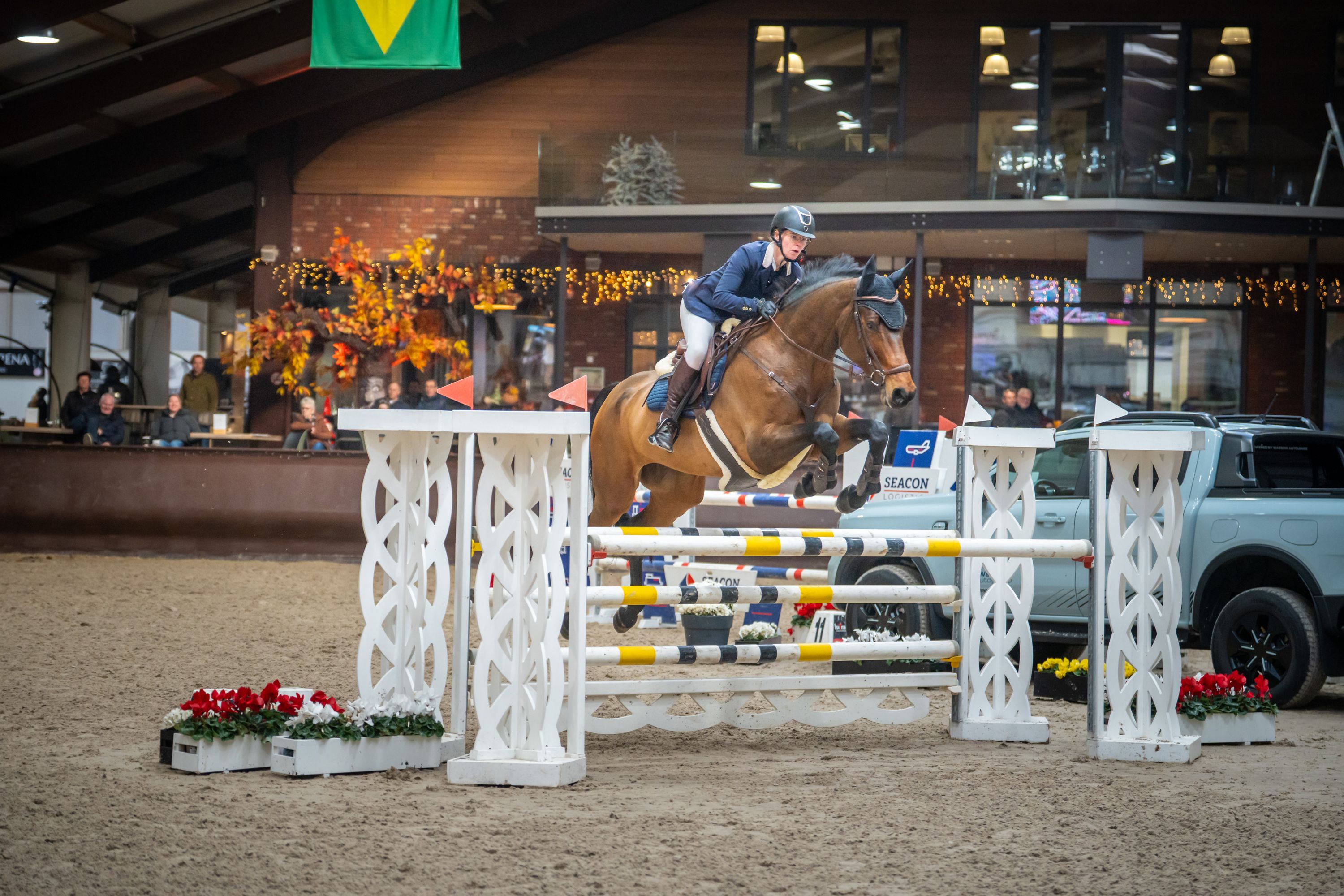 kwpn springpaard merrie 9 years old donkerbruin for sale - Photo 3