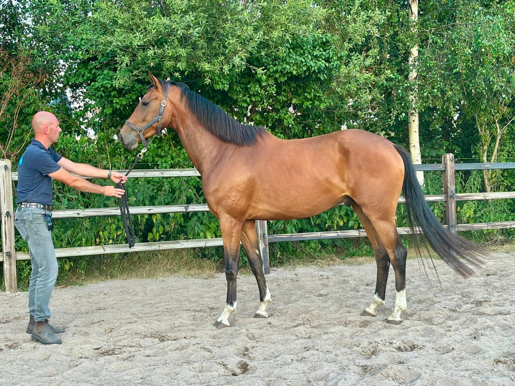 2 full brothers from own breeding