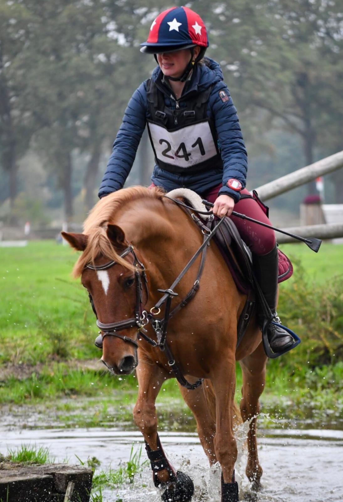 bwp springpony merrie 8 岁 vos 出售 - 照片 5