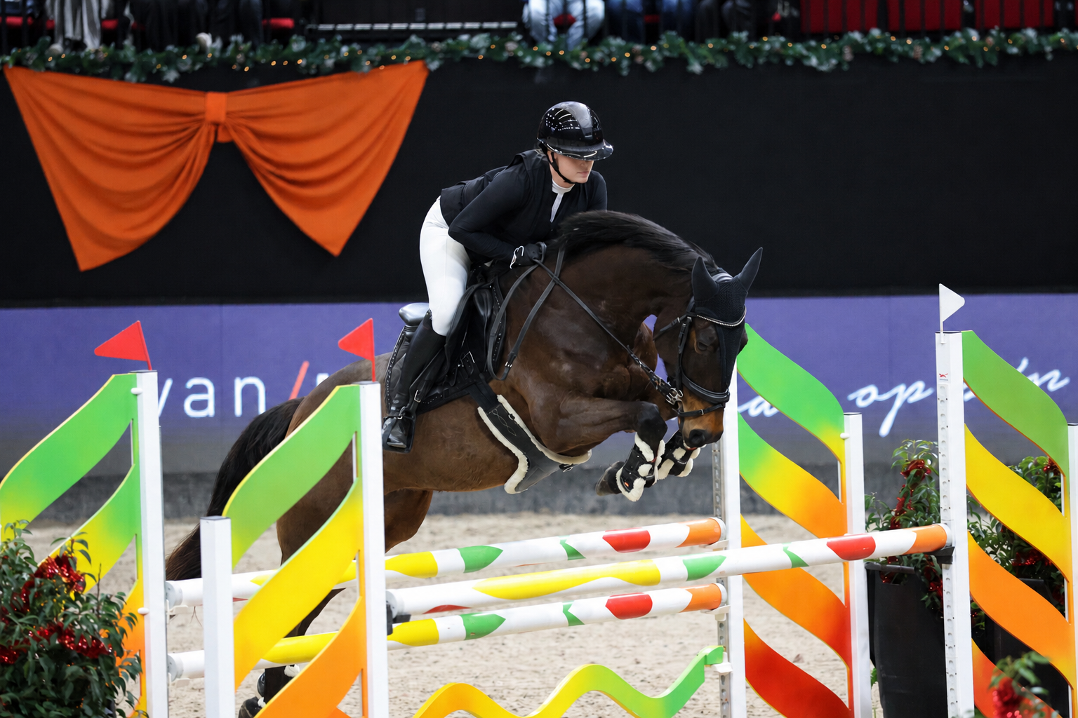 Talented showjumper mare (Arezzo VDL x Baltic VDL)