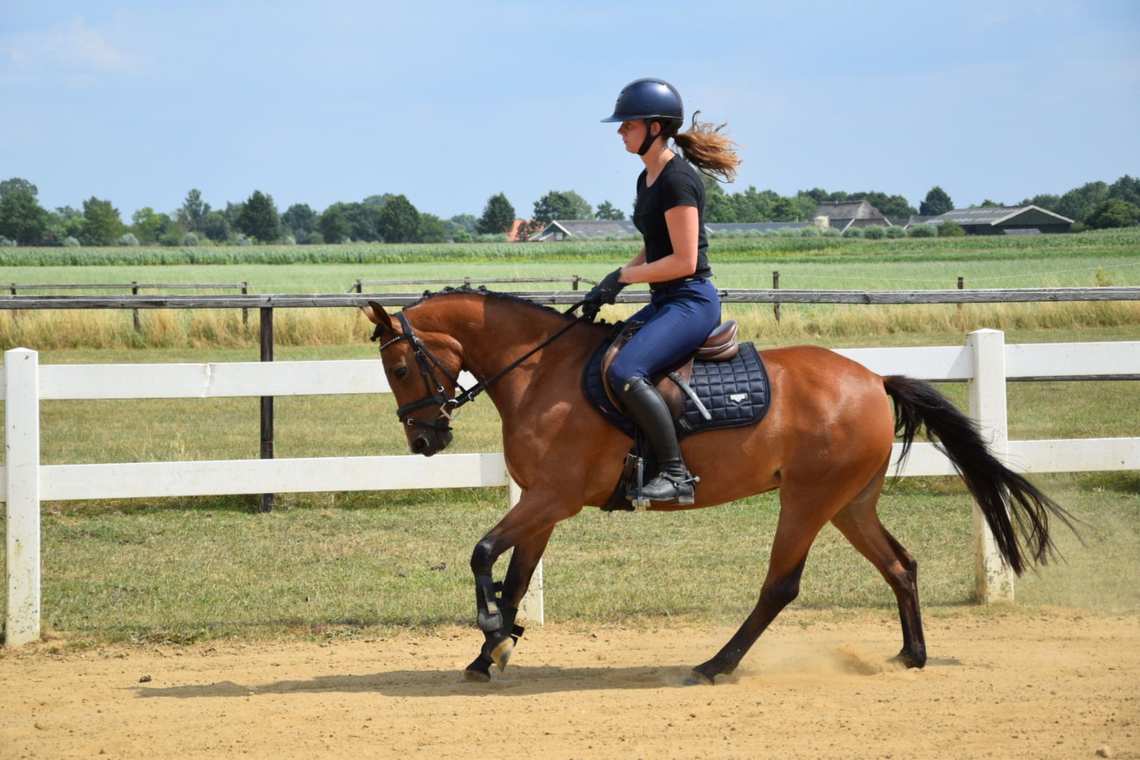 Simpático poni de deporte polivalente