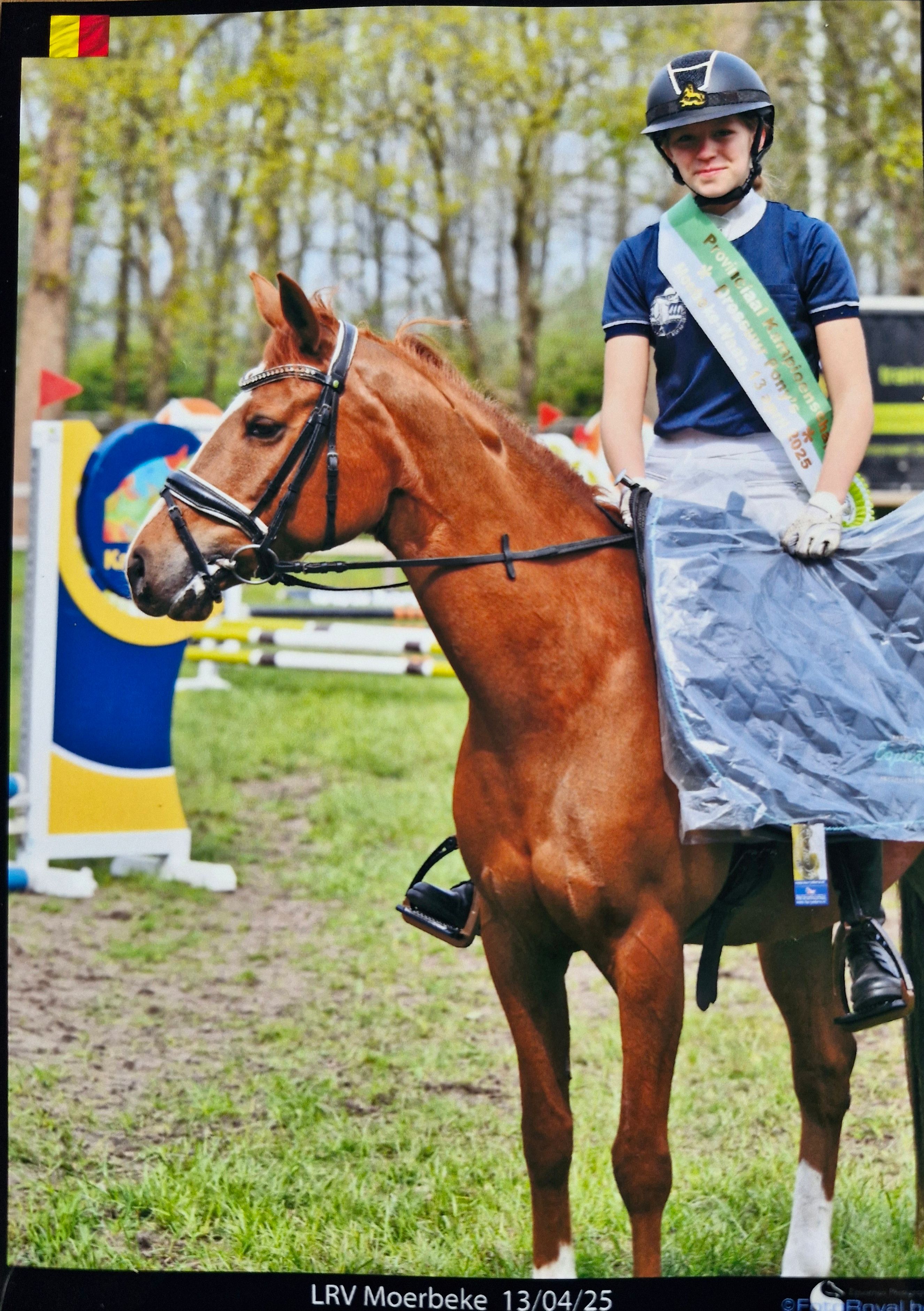 Poney de dressage