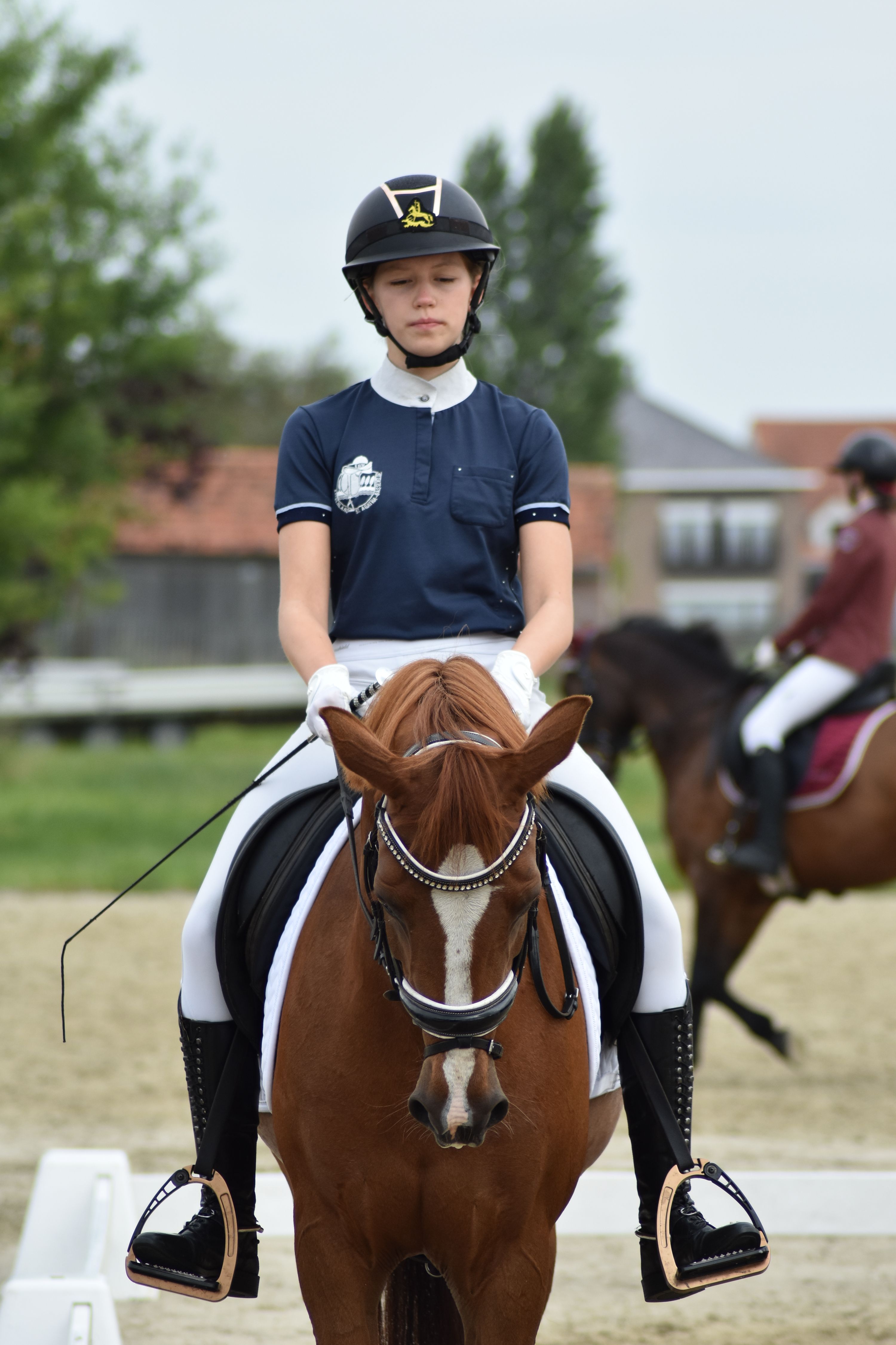 kwpn dressuurpony merrie 11 ans vos à vendre - Photo 5