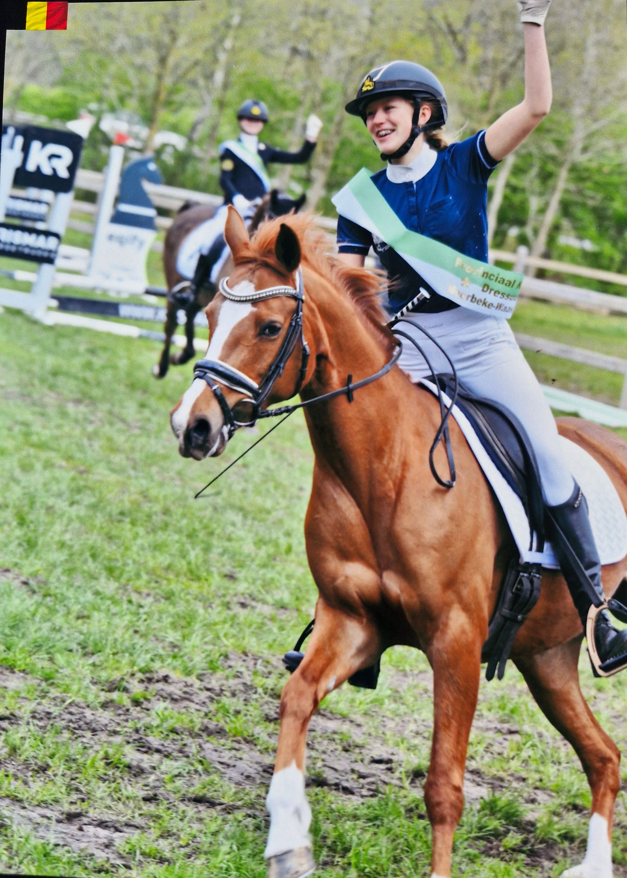kwpn dressuurpony merrie 11 ans vos à vendre - Photo 4