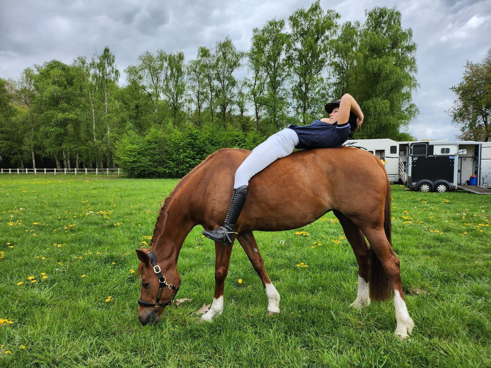 kwpn dressuurpony merrie 11 ans vos à vendre - Photo 6
