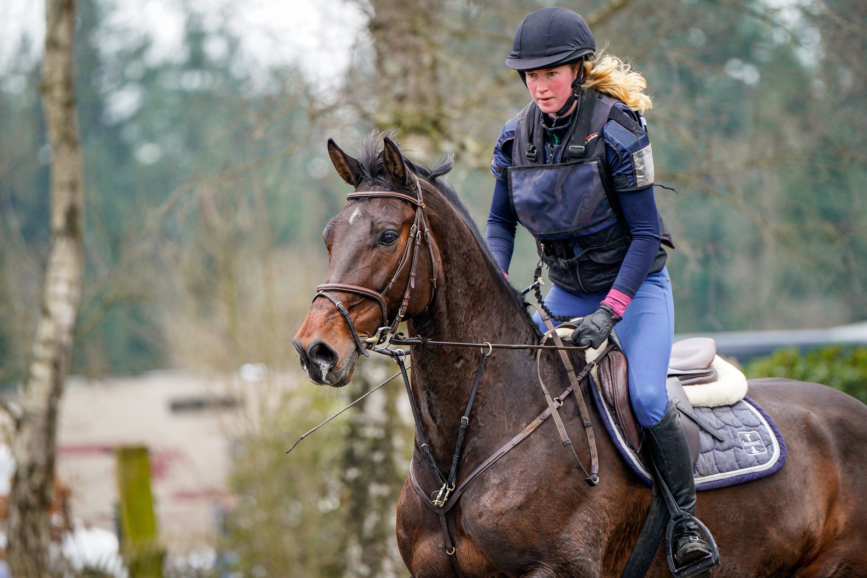 kwpn allrounder ruin 10 år bruin till salu - Foto 2