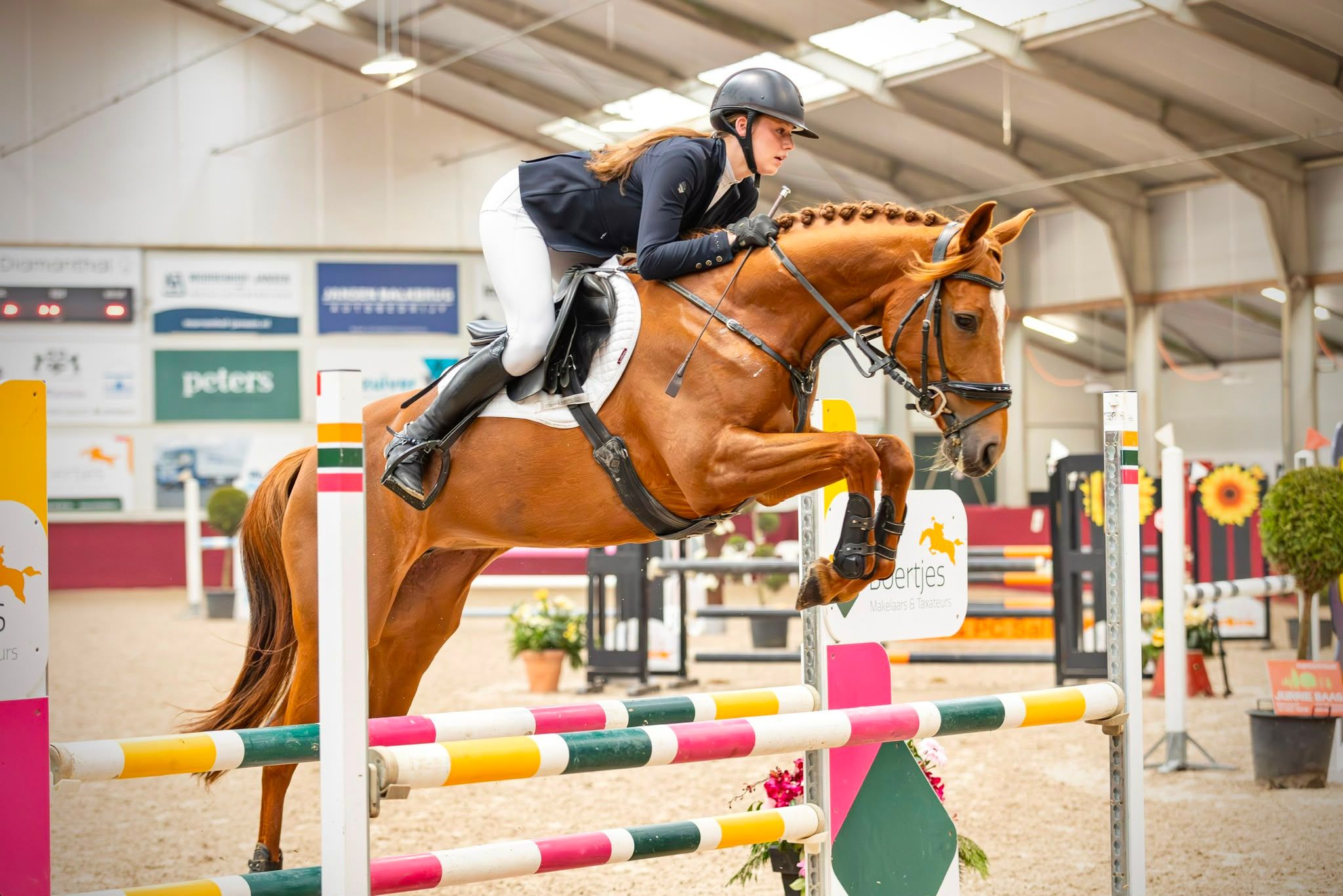 8-jarige allround sportpony