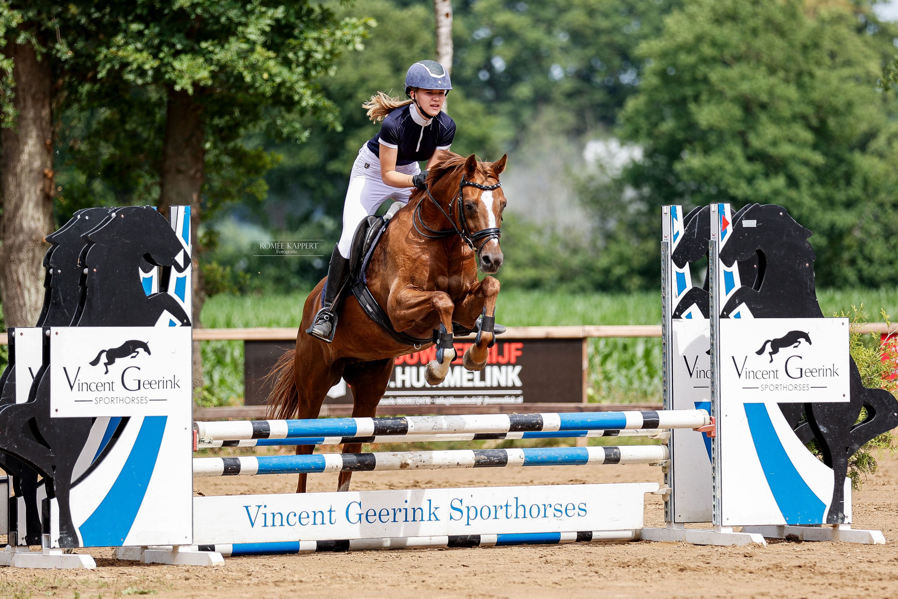 allround-pony merrie 11 år vos till salu - Foto 2