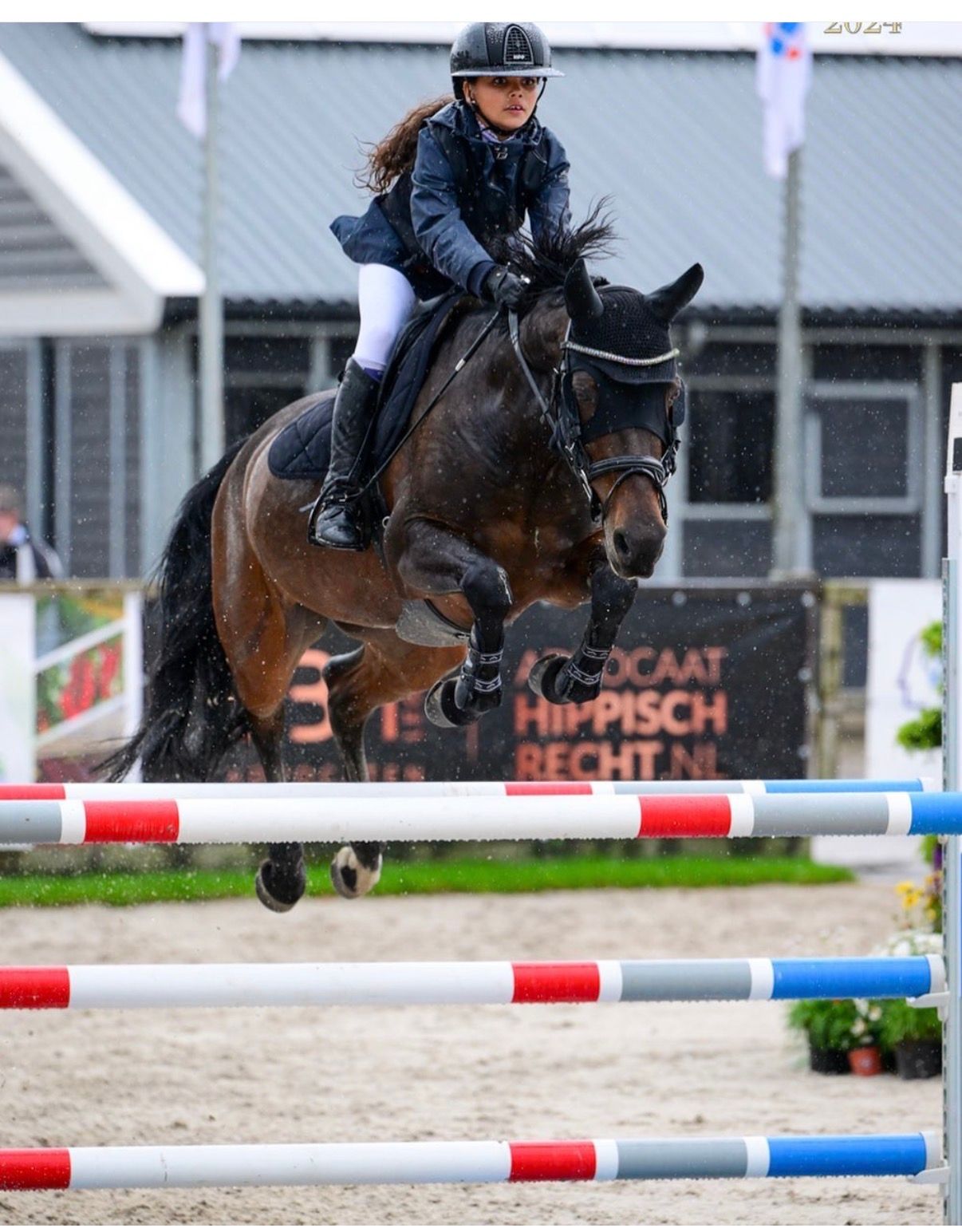 🌟 Top FEI Sportpony Merrie te Koop 🌟