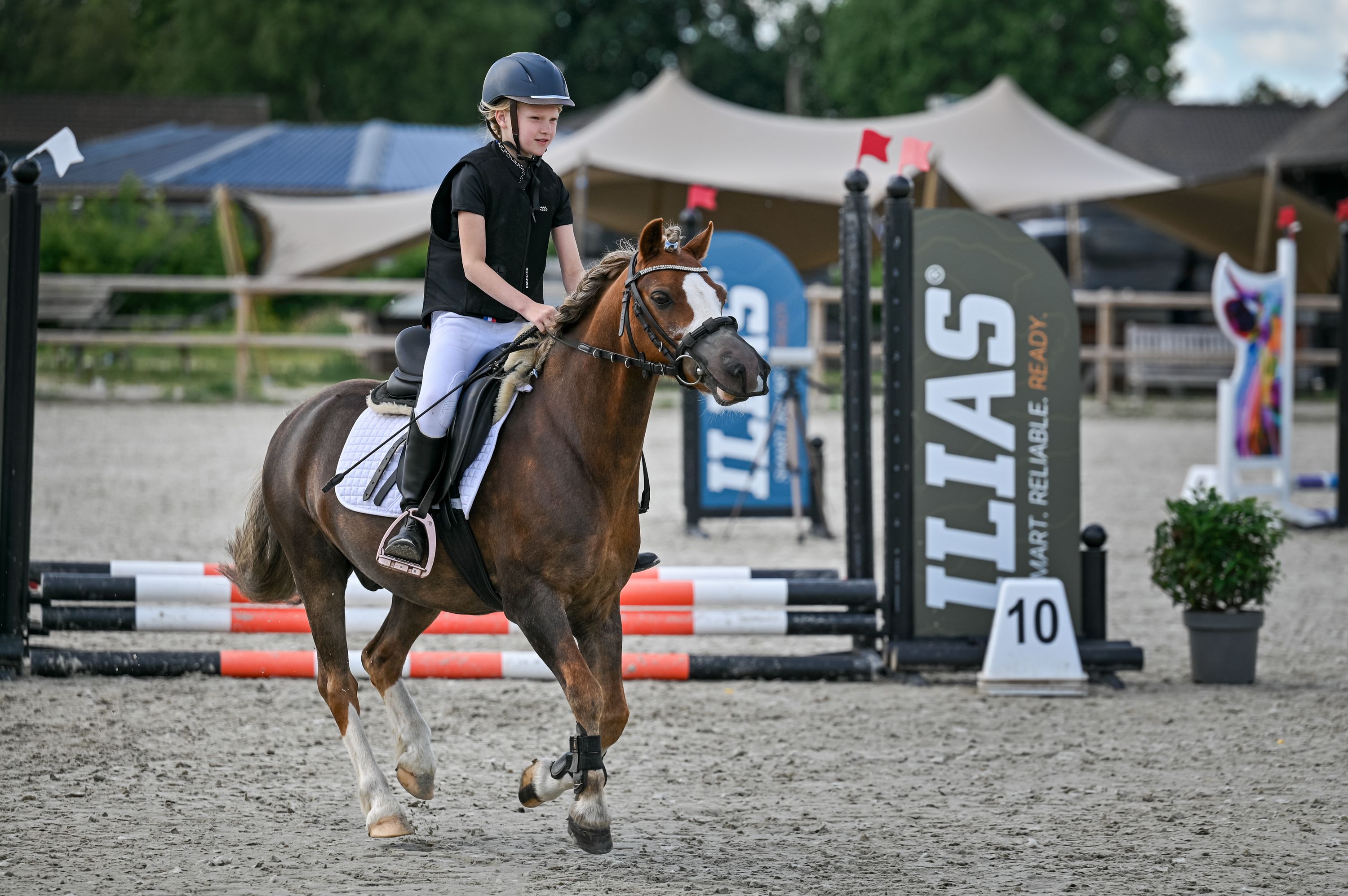 Leuke en lieve 18 jarige B pony!