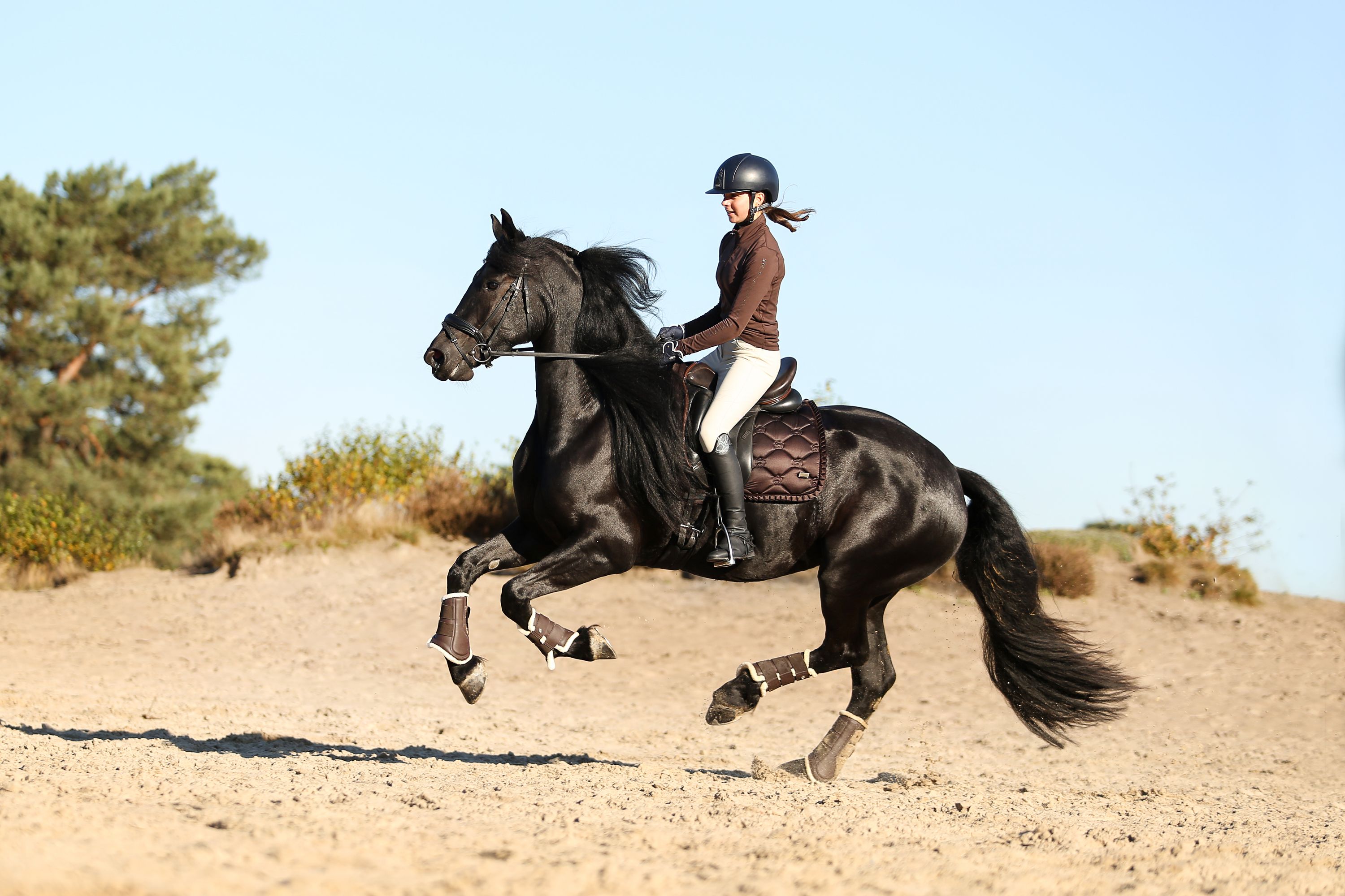 fries merrie 8 ans zwart à vendre - Photo 5