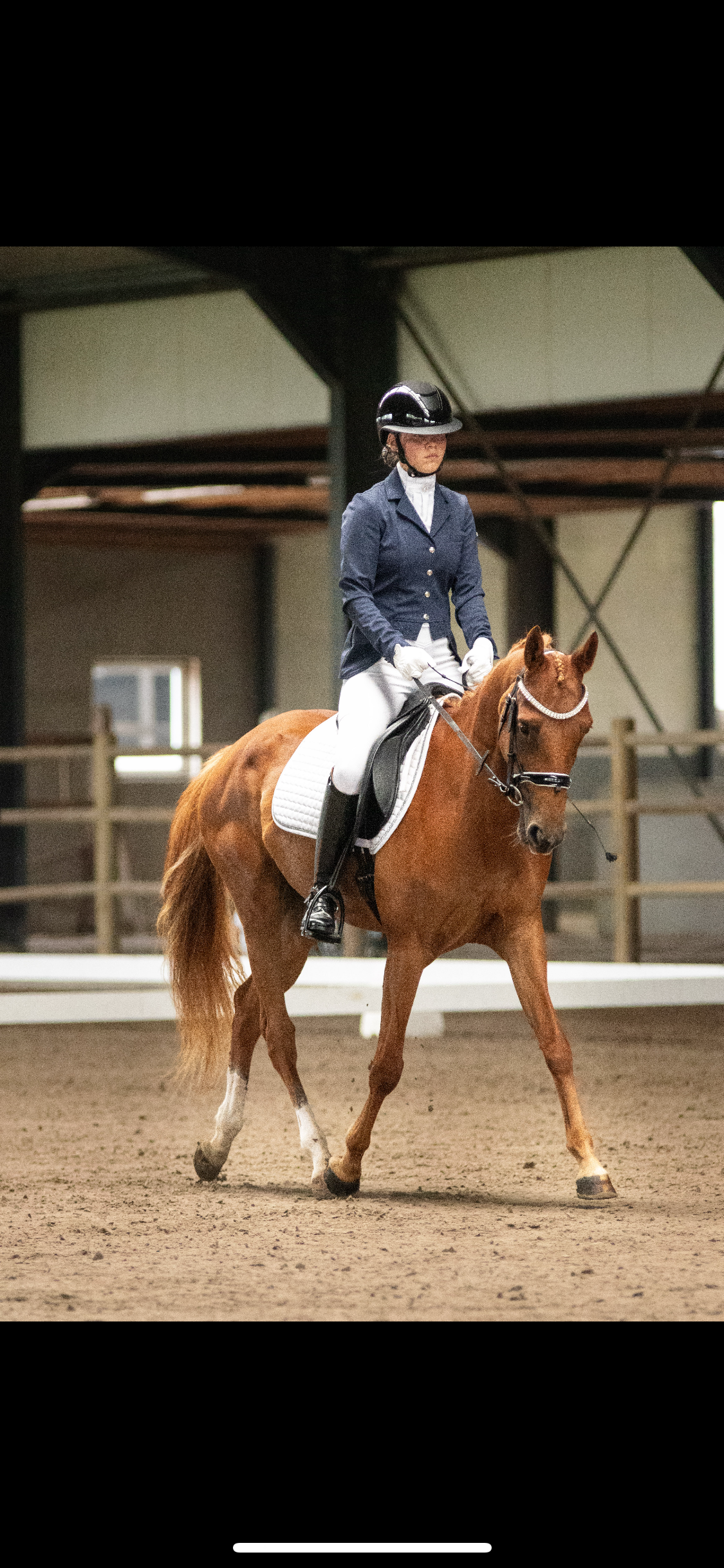 nrps allround-pony merrie 6 jaar vos te koop - Foto 3
