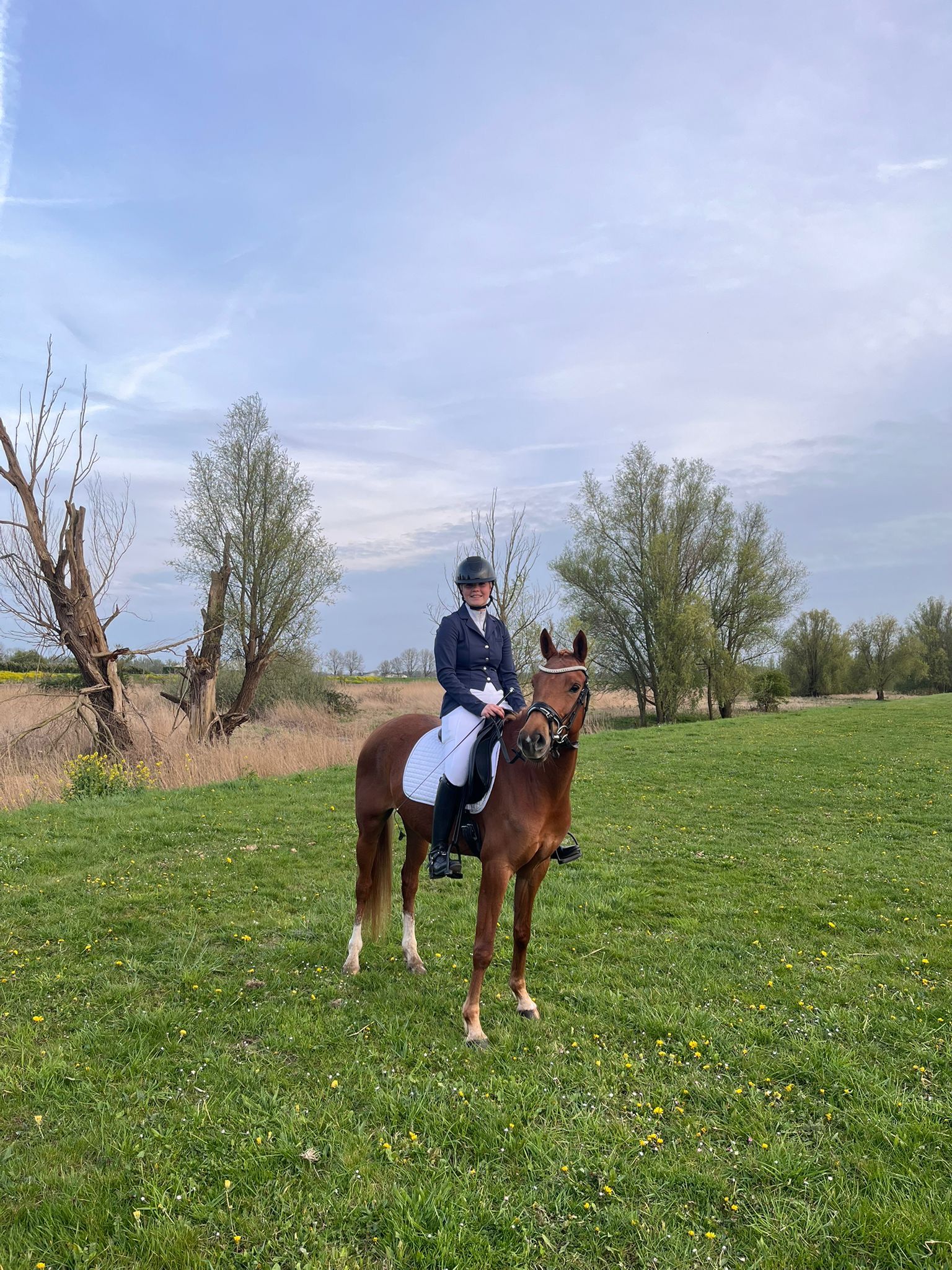 nrps allround-pony merrie 6 jaar vos te koop - Foto 4