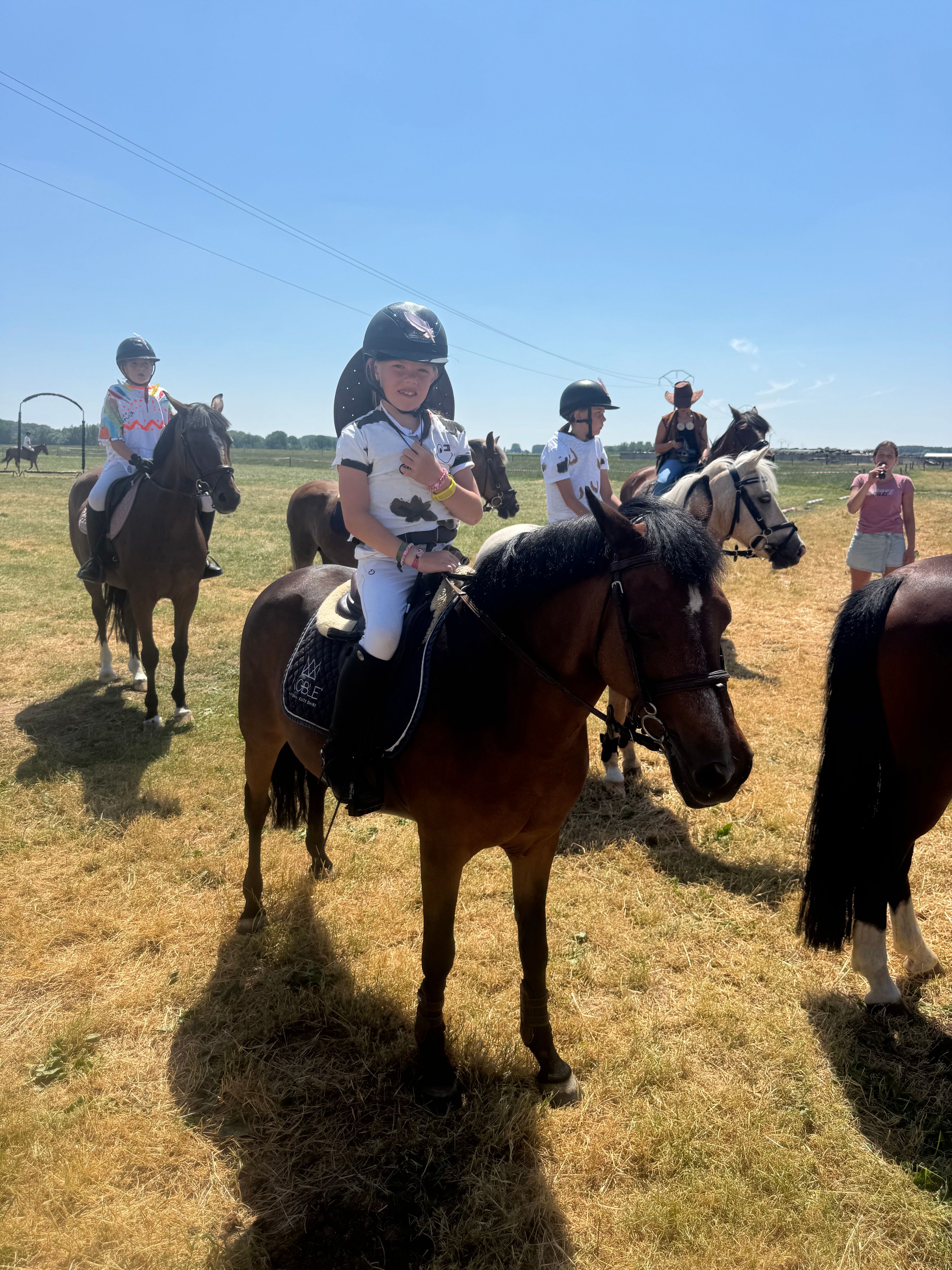 allround-pony merrie 18 jaar te koop - Foto 5