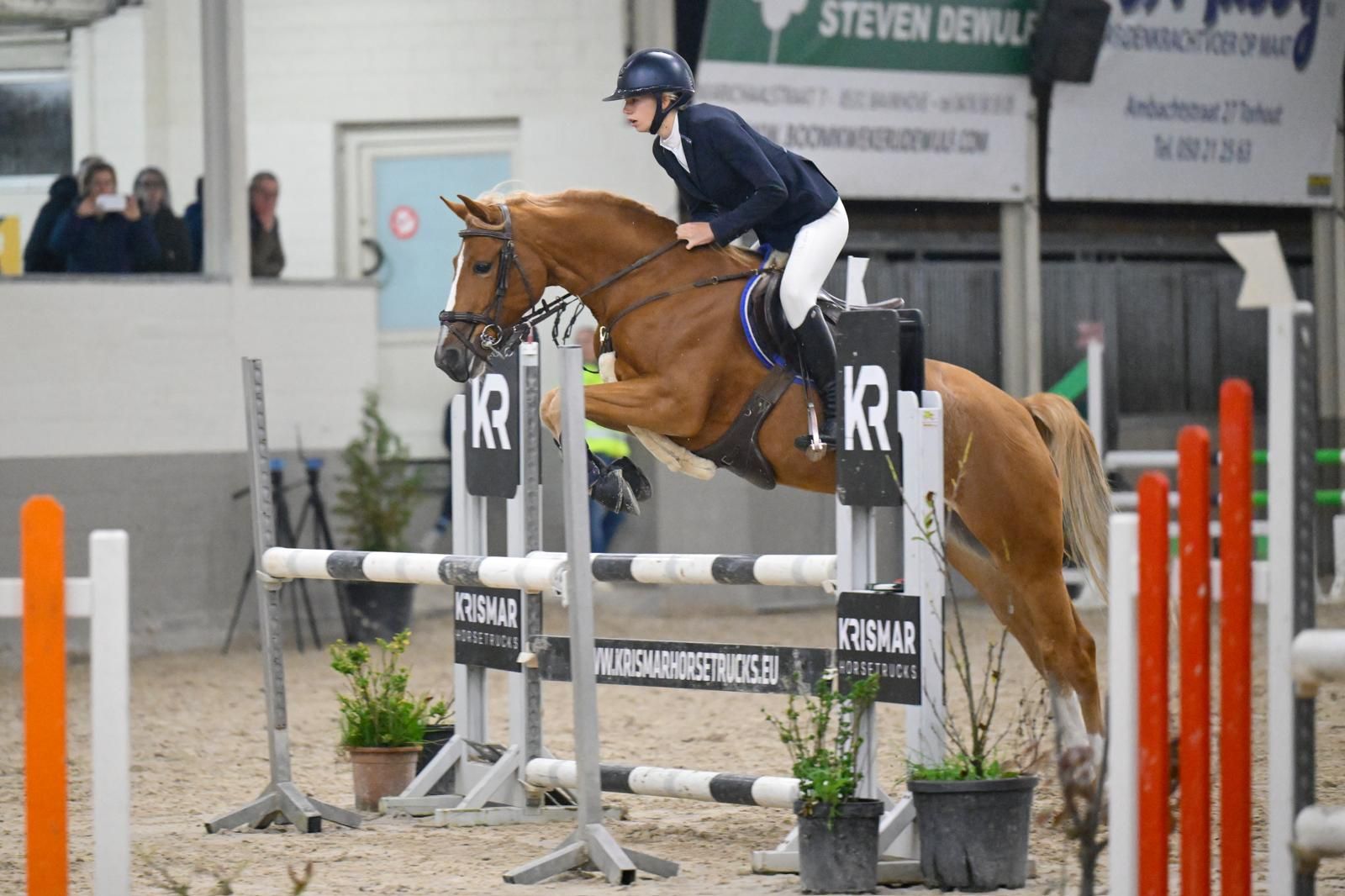 bwp springpony ruin 8 jaar vos te koop - Foto 2