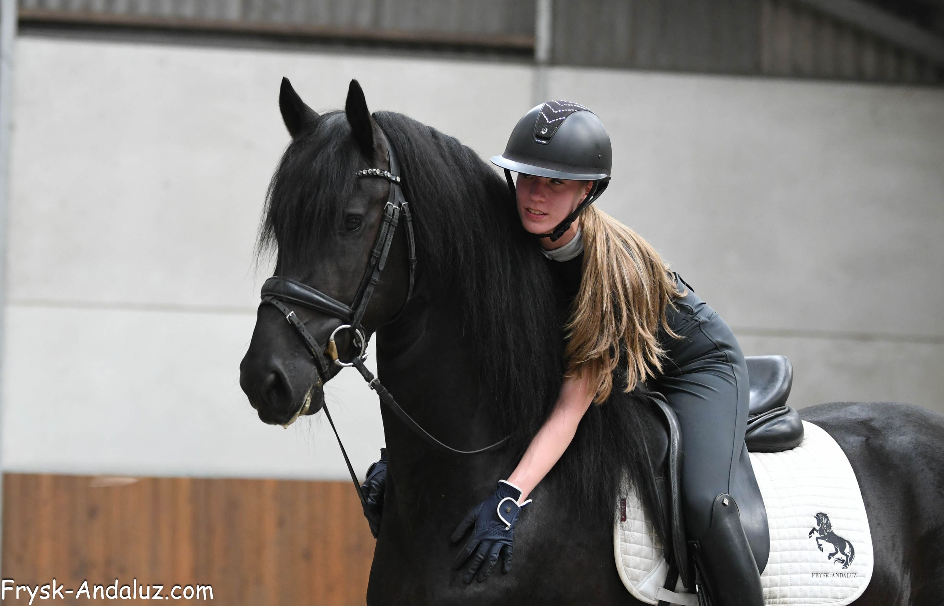 dressuurpaard hengst 3 ans zwart à vendre - Photo 2