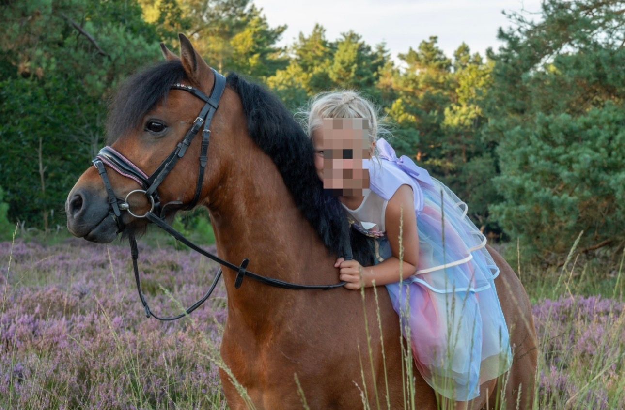 allround-pony ruin 9 jaar te koop - Foto 2