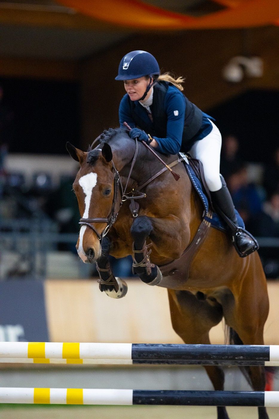 Talented 7-year-old gelding (Gerardus x Cantos), 1.20m showjumping