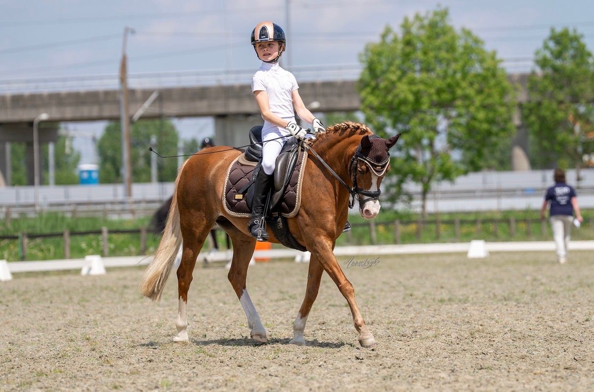 Fantastische pony en leermeester 