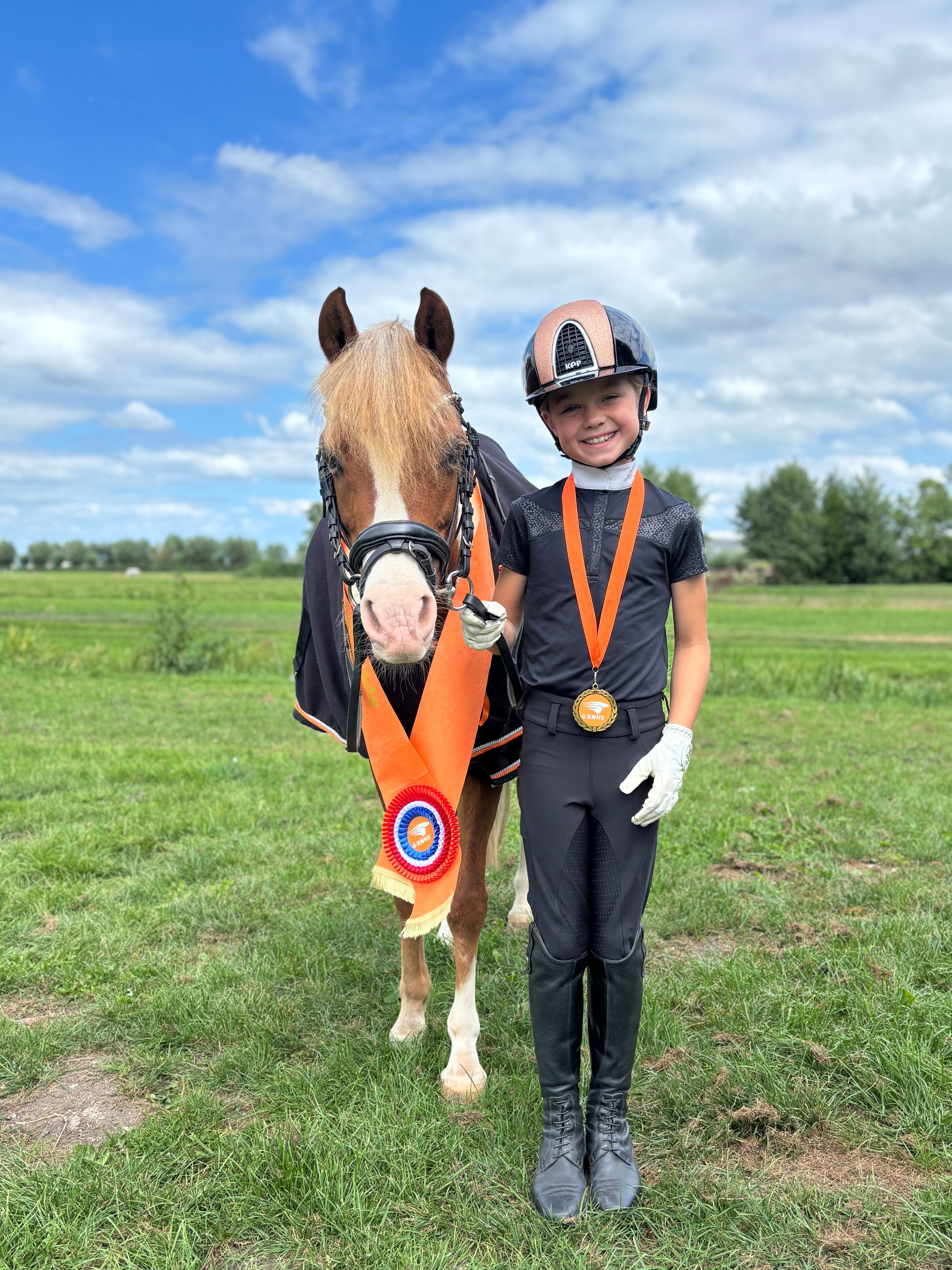 welsh dressuurpony merrie 17 jaar vos te koop - Foto 5