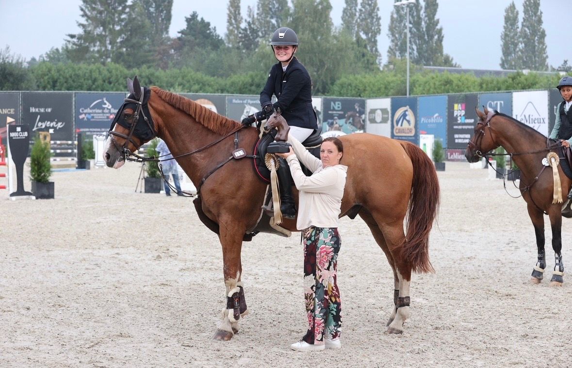 bwp springpaard ruin 16 jaar vos te koop - Foto 5