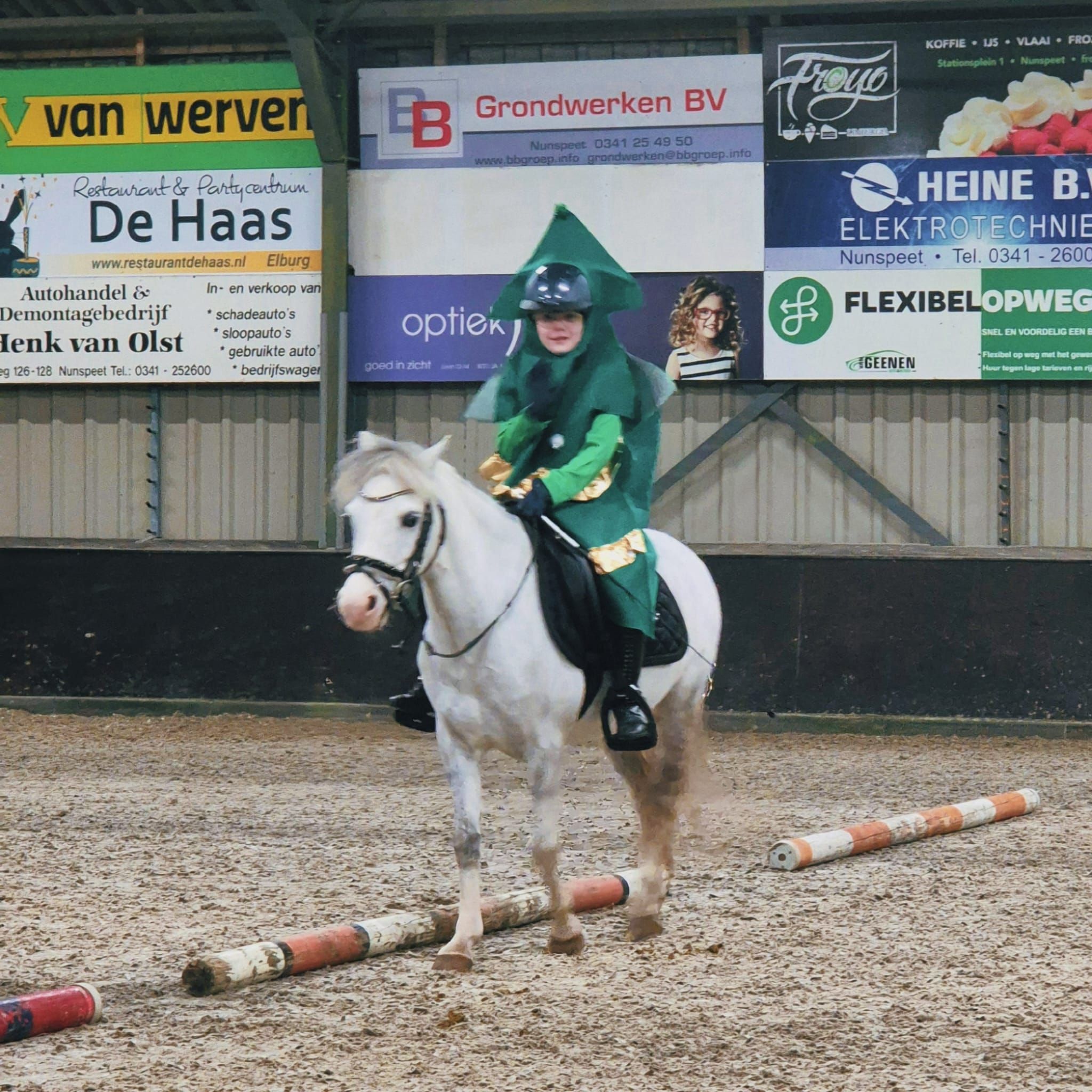 Top Blitz - poney B expérimenté avec un caractère de petit clown doux et amical