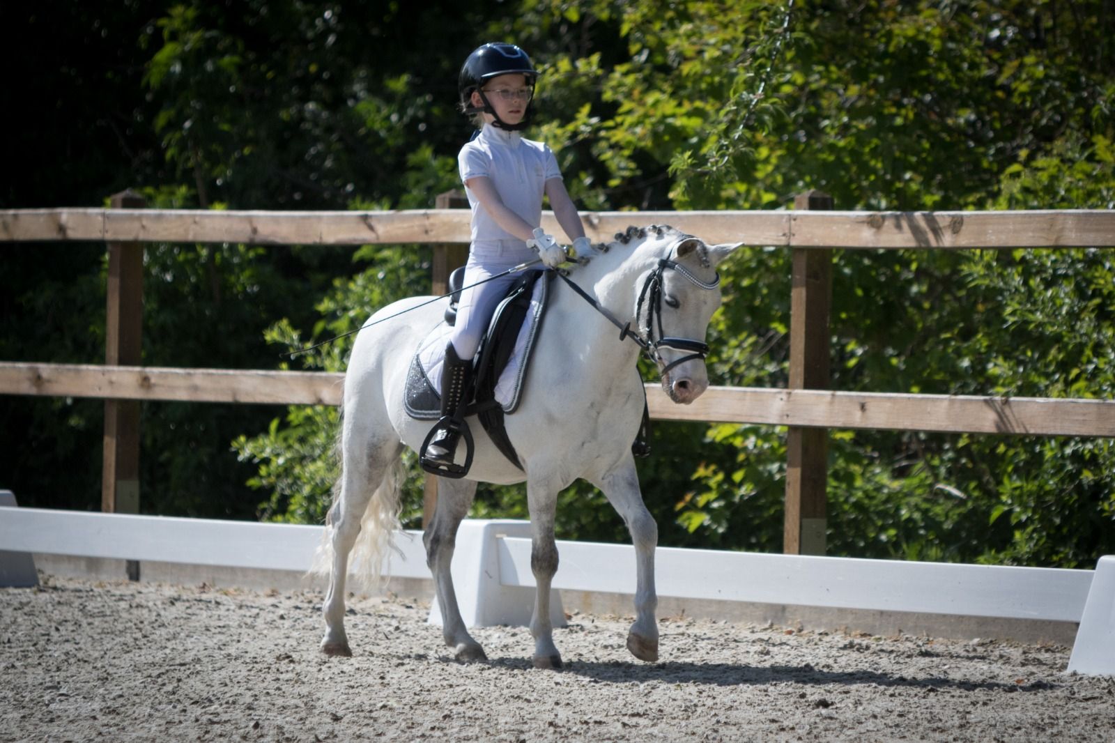 ander allround-pony ruin 10 ans schimmel à vendre - Photo 4