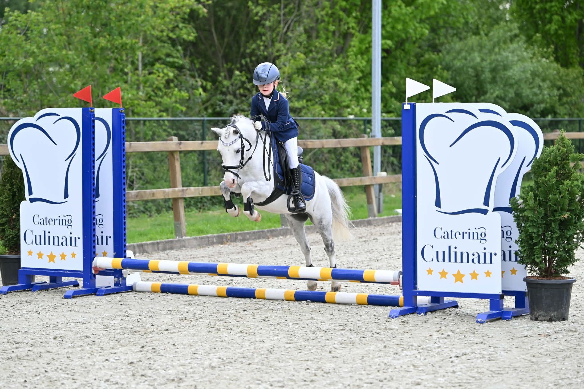 ander allround-pony ruin 10 ans schimmel à vendre - Photo 2