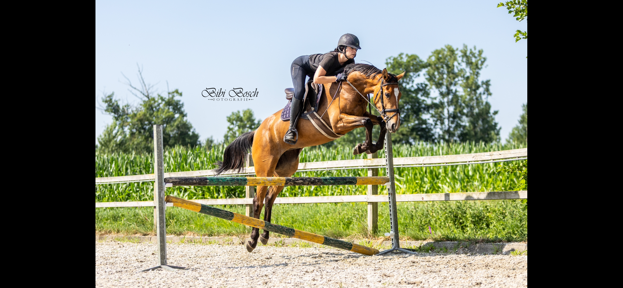 3 jarige Verdi