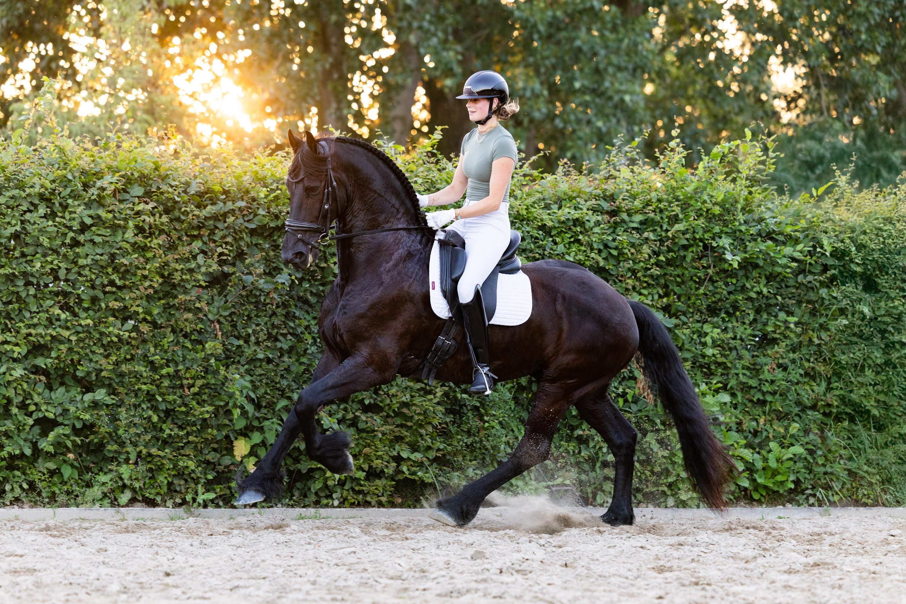 FPS (Nederland) allround fries ruin 8 ans Zwart à vendre - Photo 4