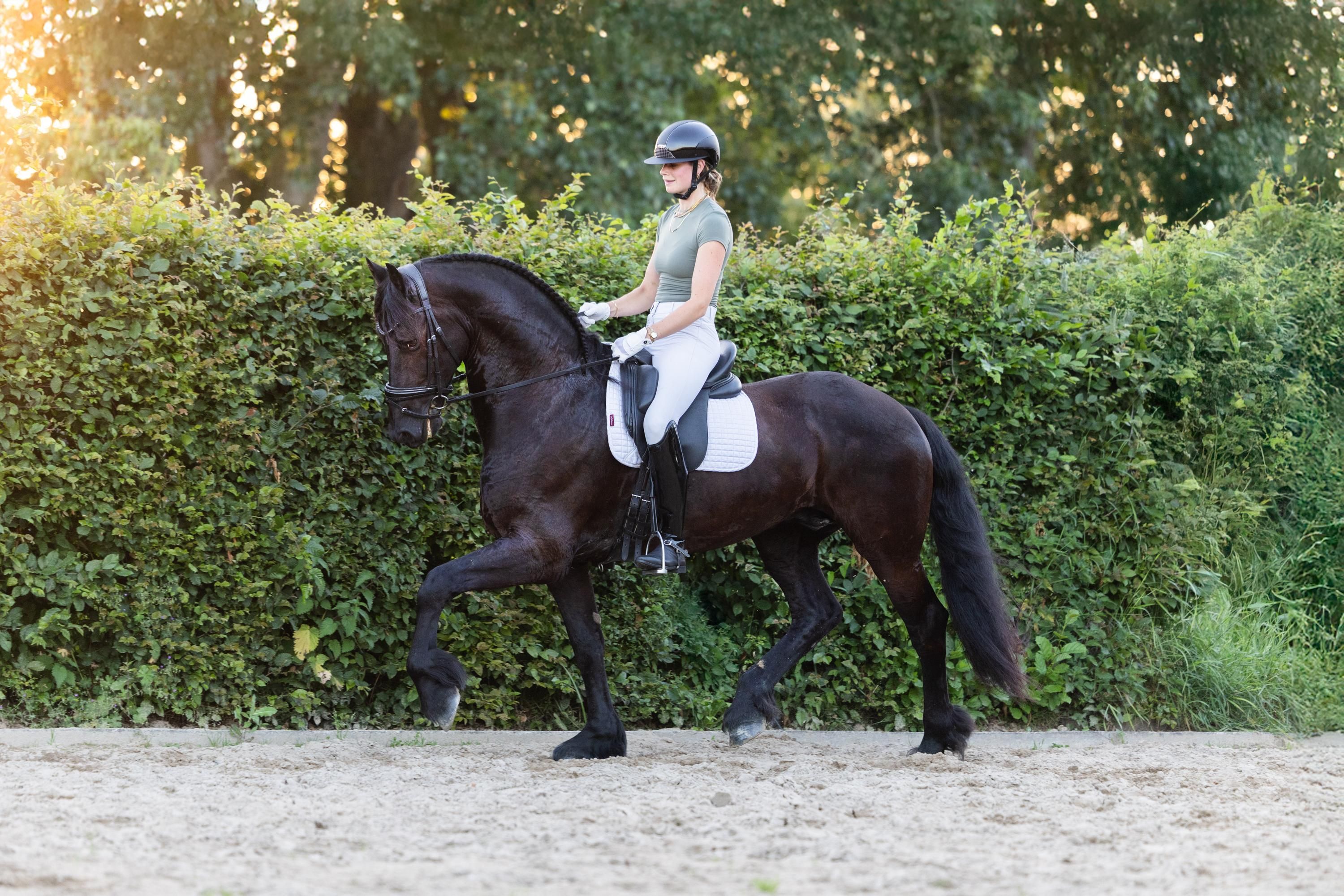 FPS (Nederland) allround fries ruin 8 ans Zwart à vendre - Photo 5