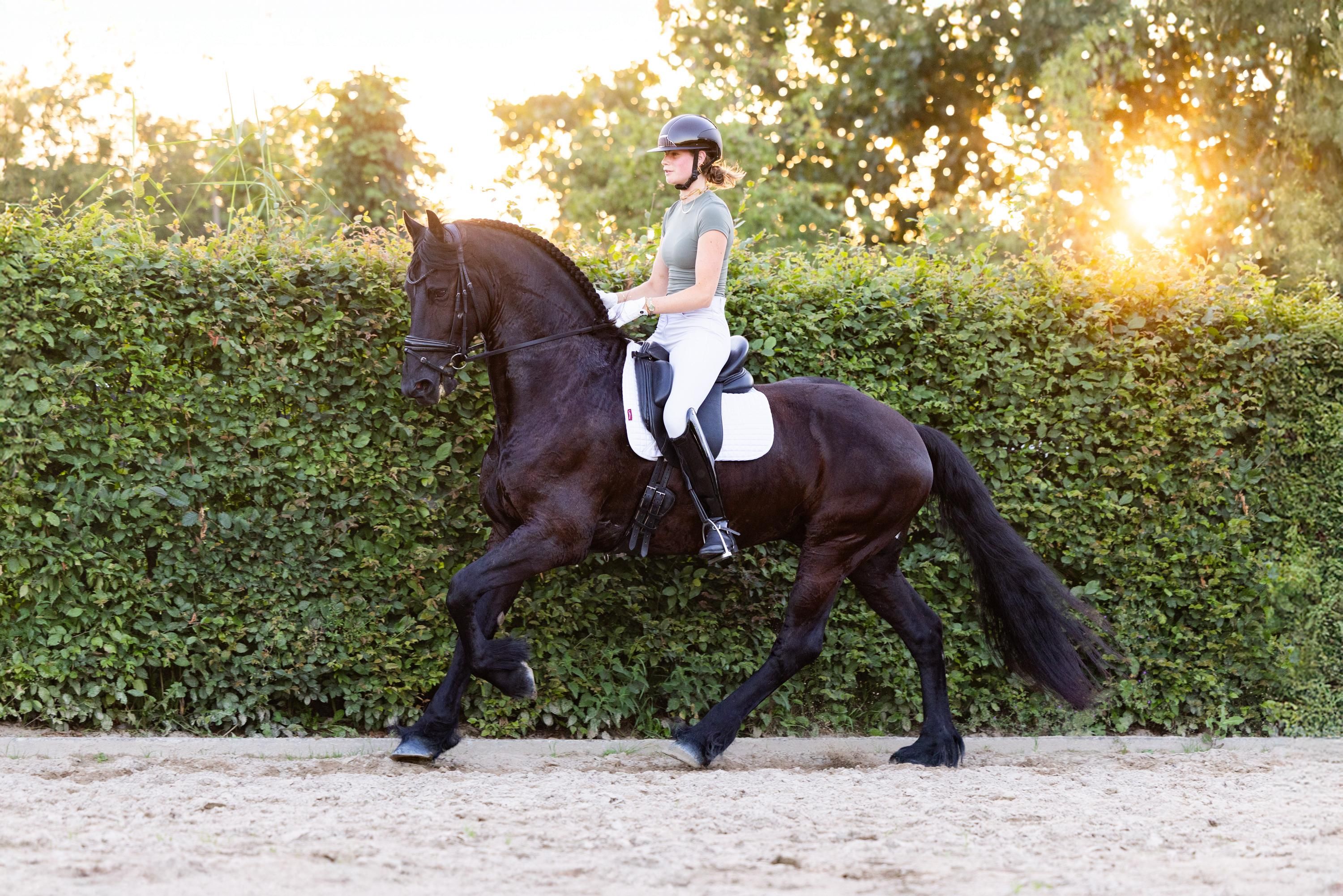 FPS (Nederland) allround fries ruin 8 ans Zwart à vendre - Photo 6