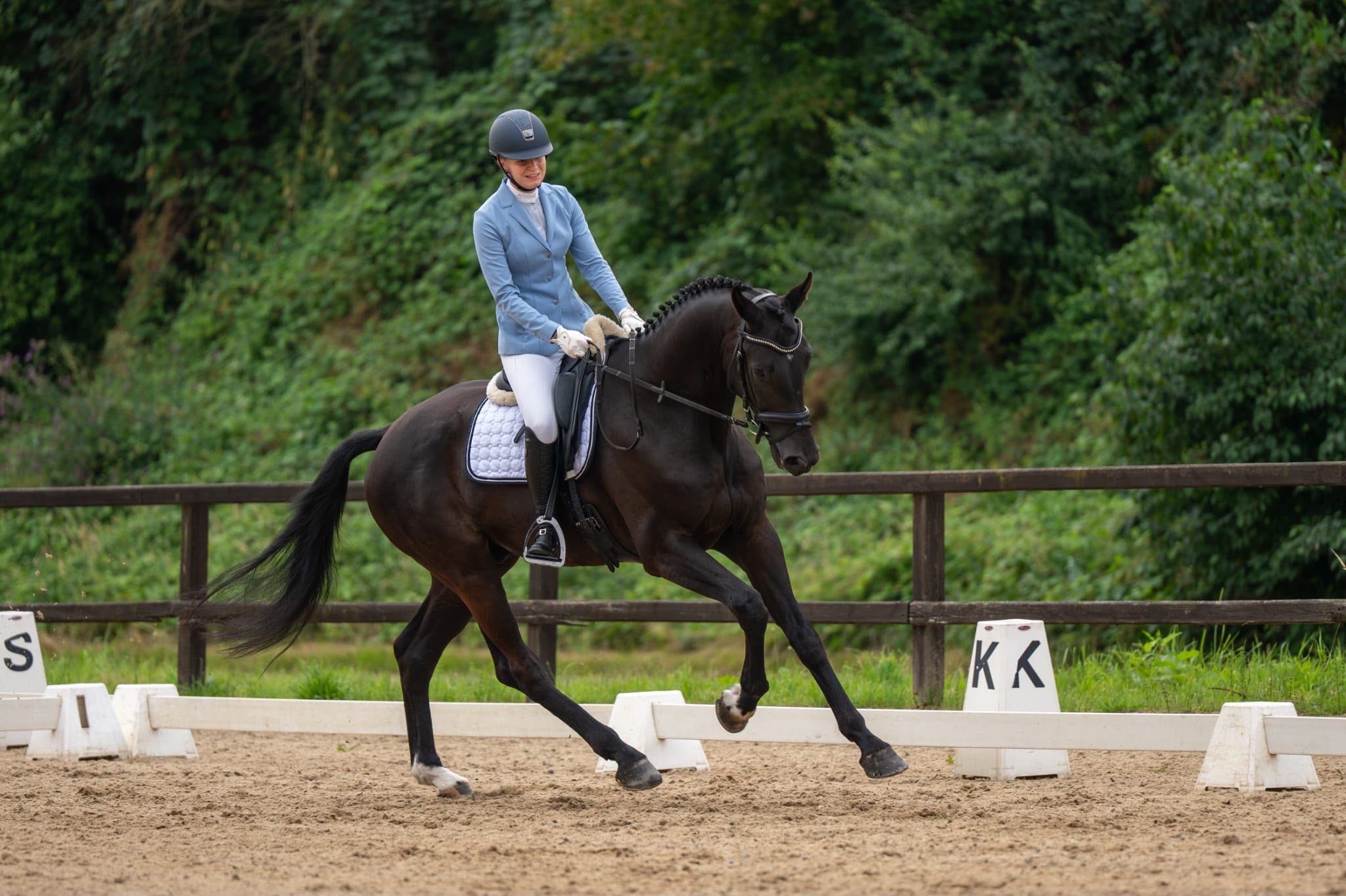 dressuurpaard ruin te koop - Foto 2