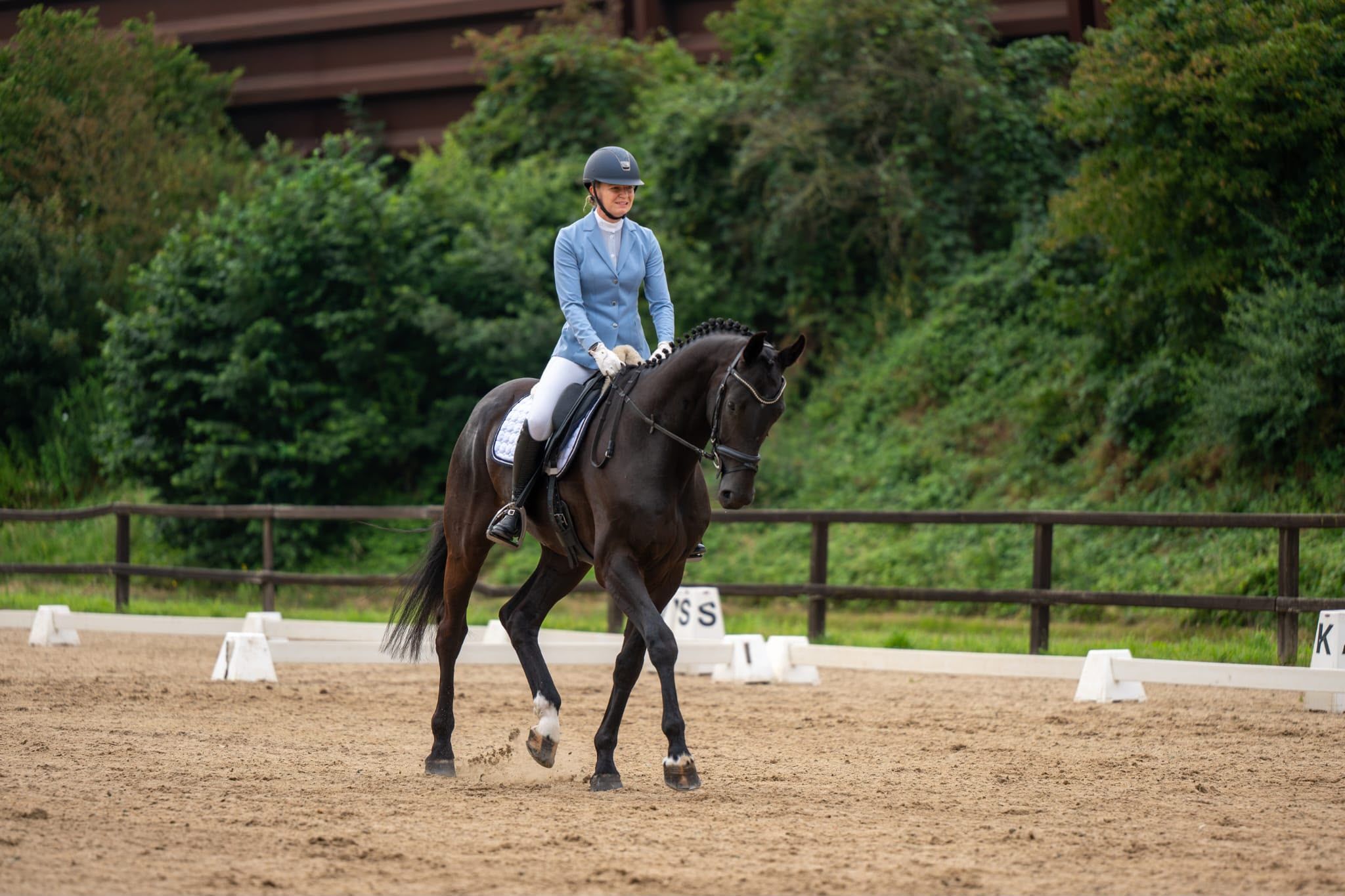 dressuurpaard ruin te koop - Foto 3