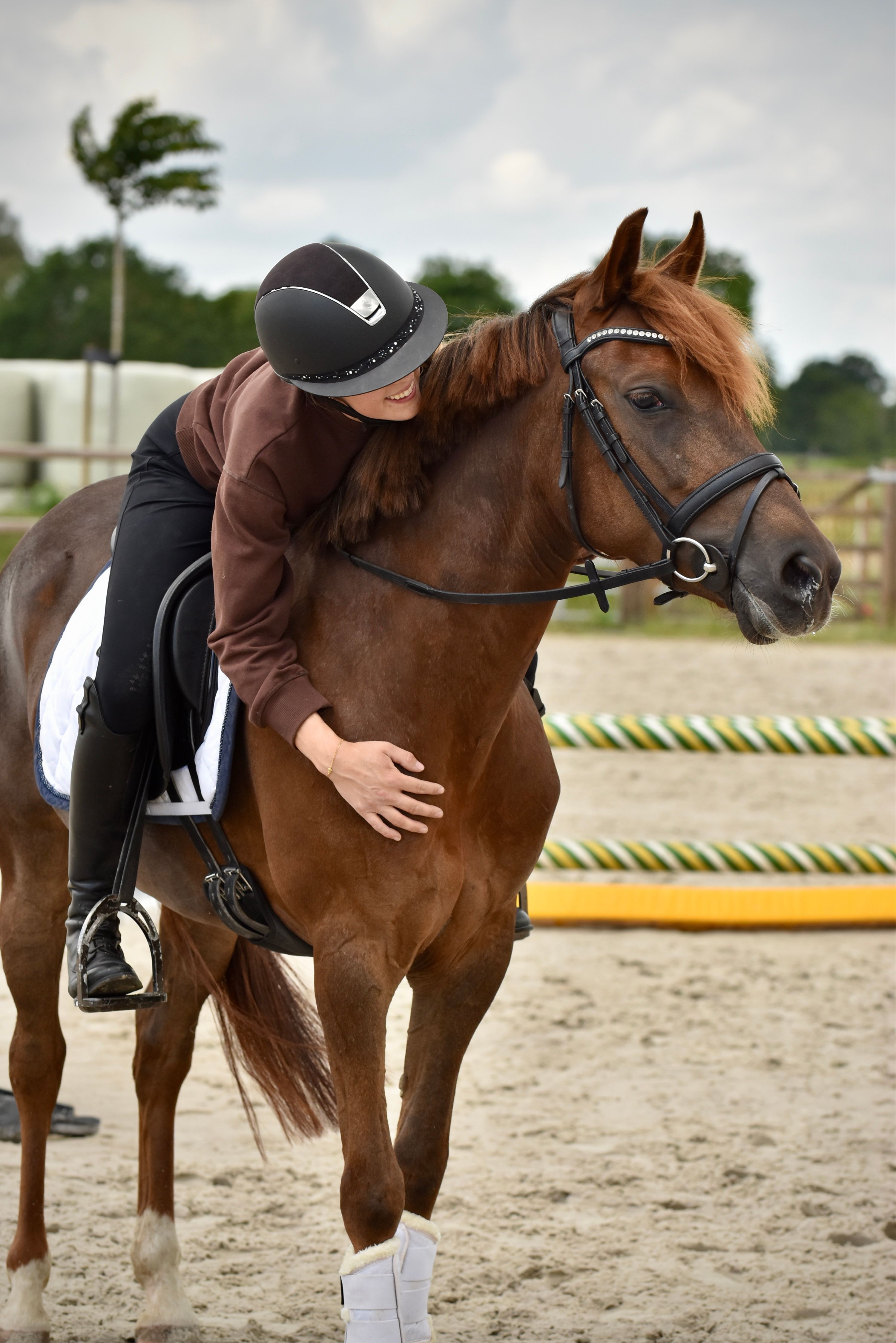 Poney de sport New Forest !
