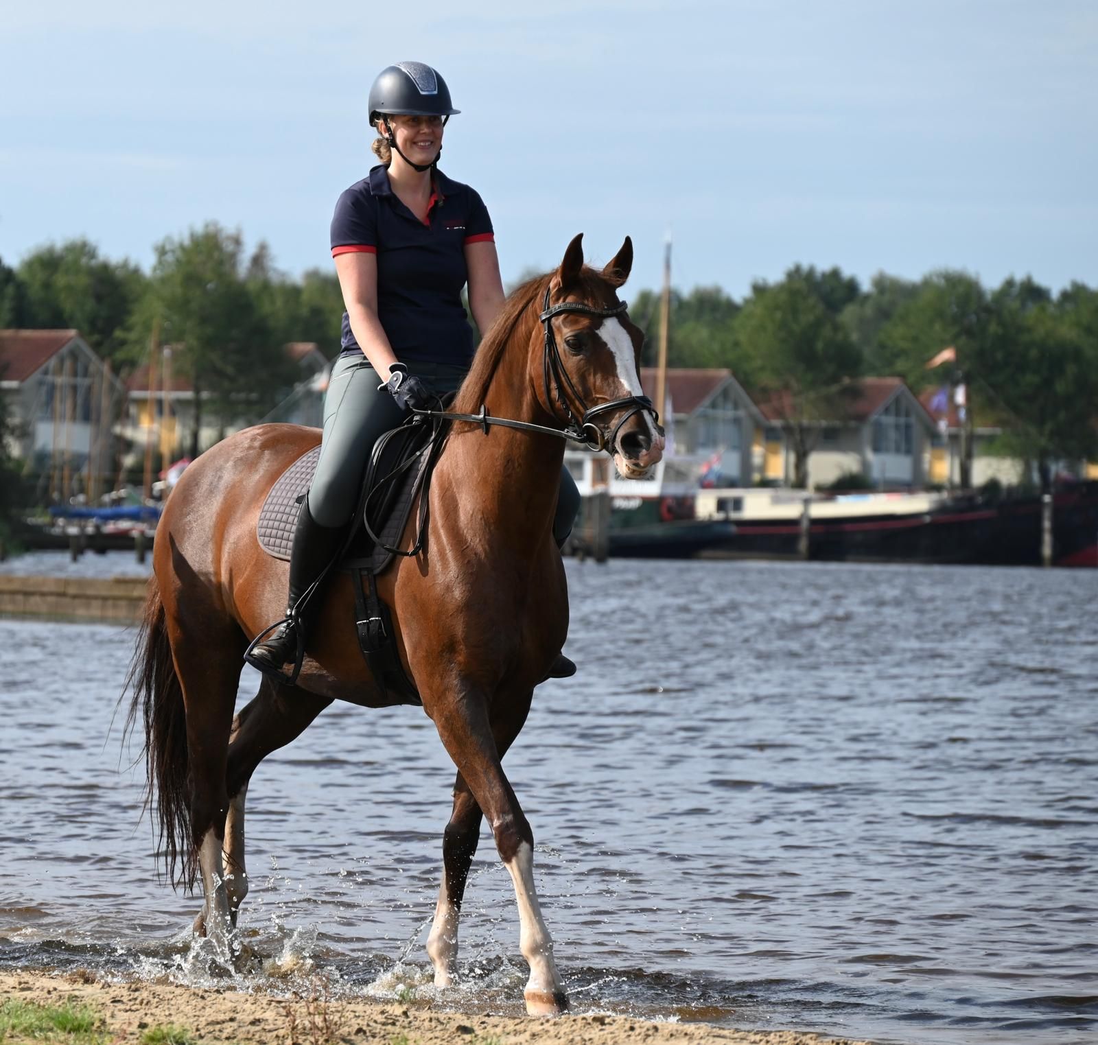 kwpn recreatie-paard merrie 18 岁 vos 出售 - 照片 3