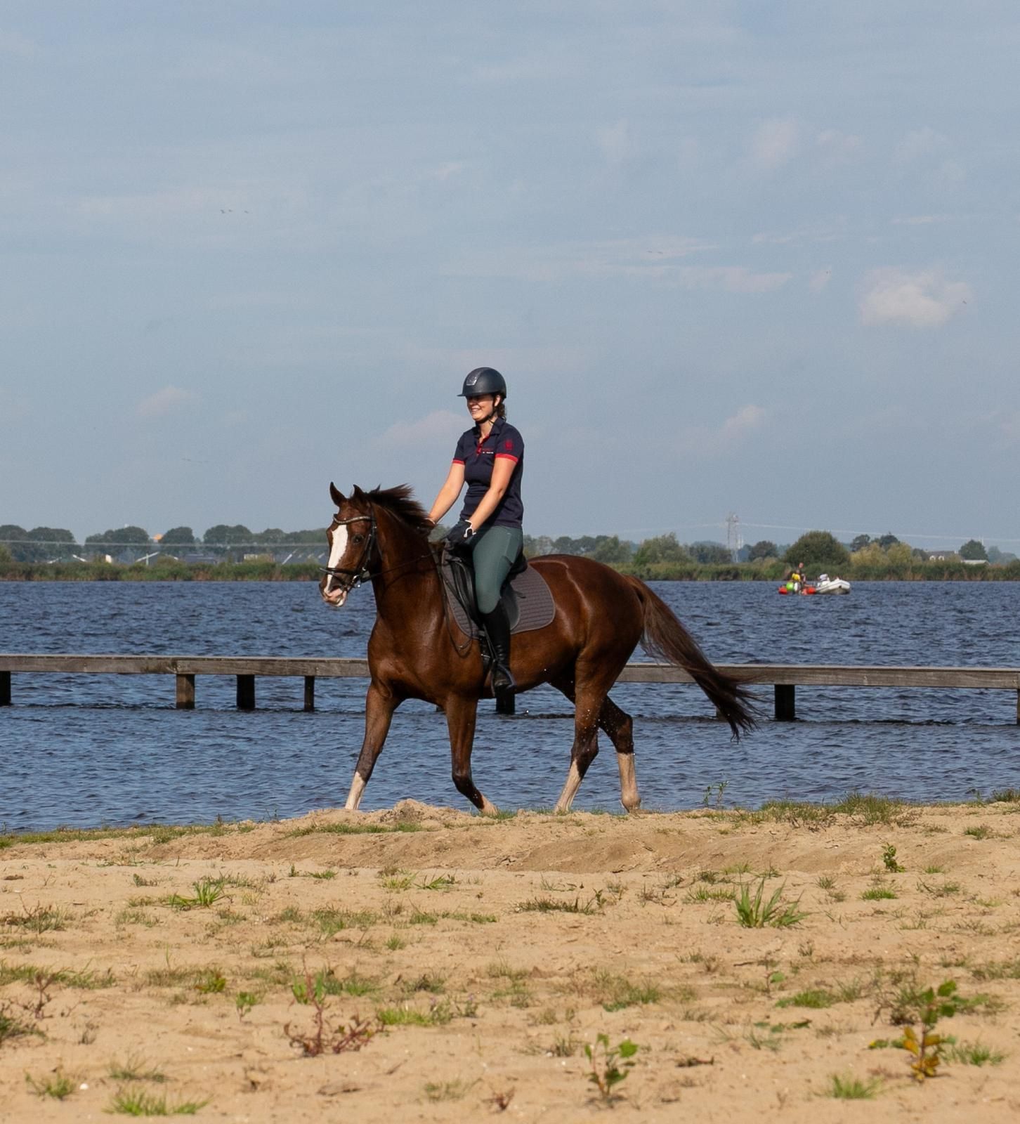 kwpn recreatie-paard merrie 18 岁 vos 出售 - 照片 5
