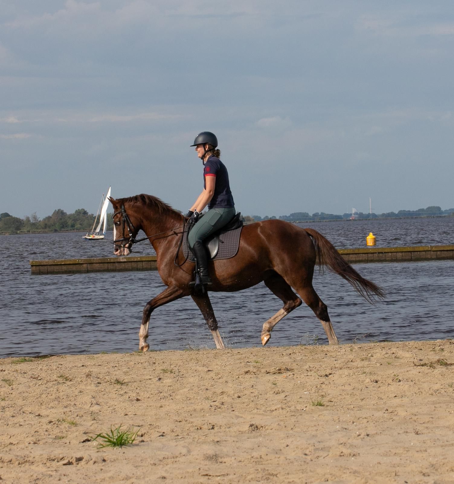 kwpn recreatie-paard merrie 18 岁 vos 出售 - 照片 4