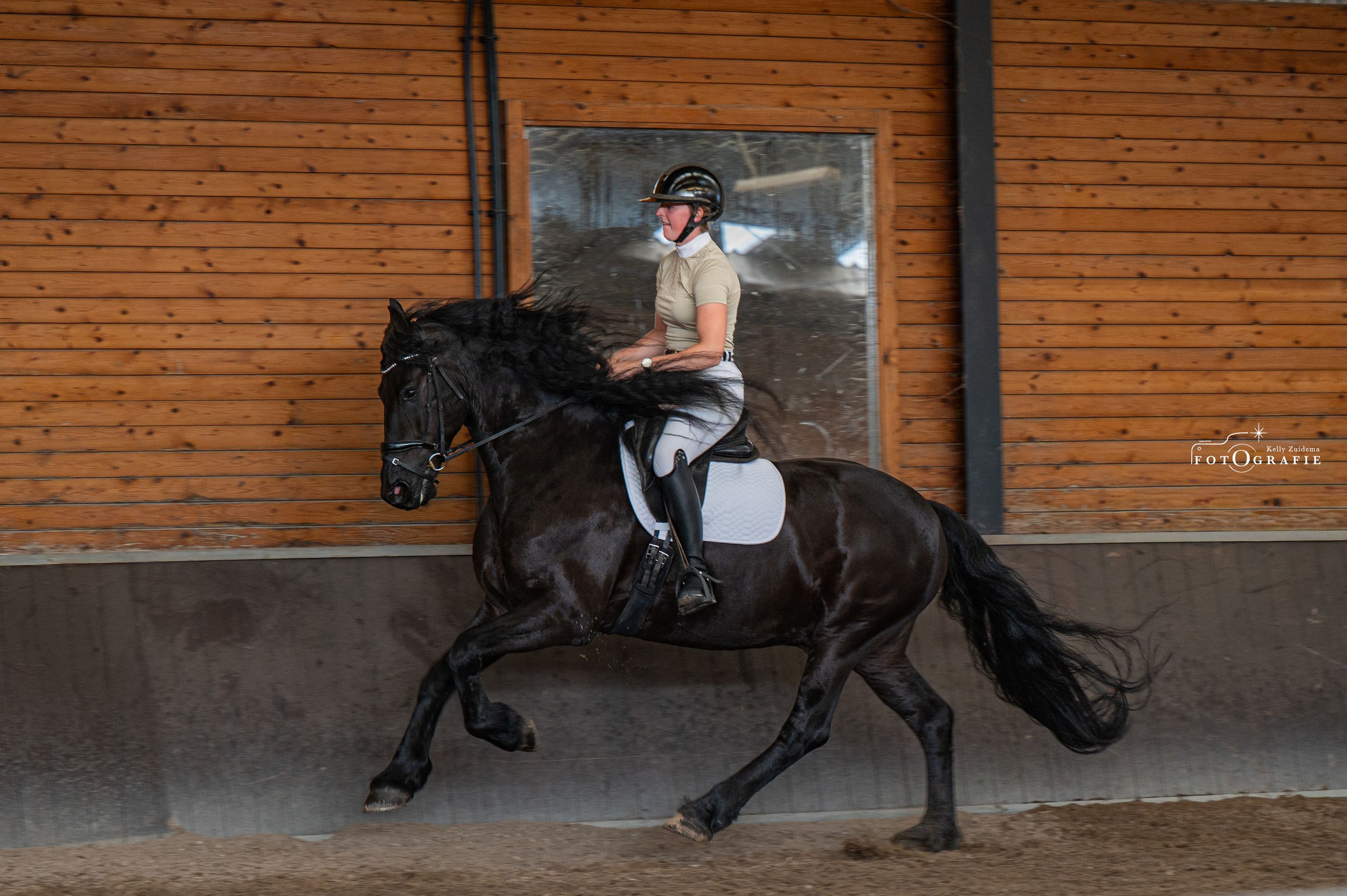 Super braver Friese Wallach