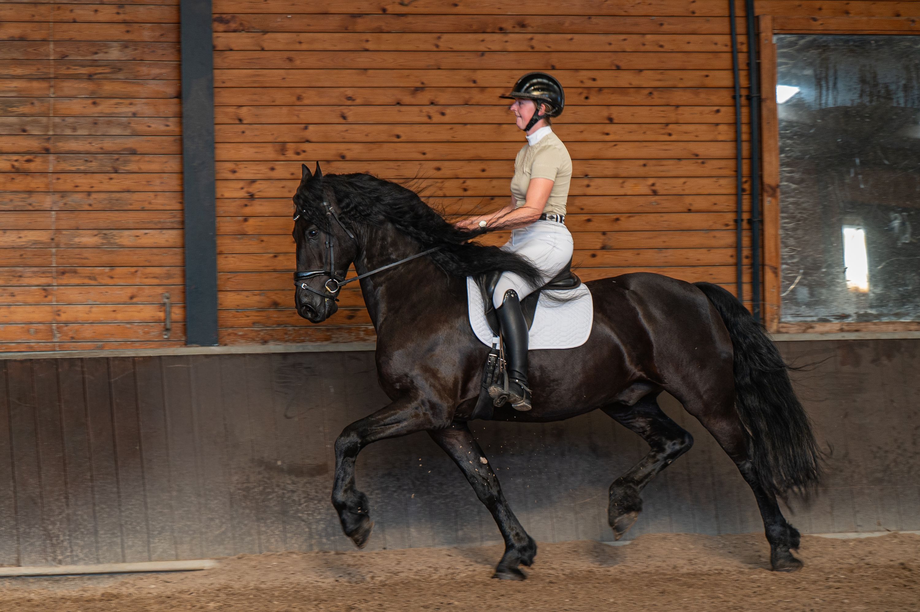ander recreatie-paard ruin 8 jaar zwart te koop - Foto 2