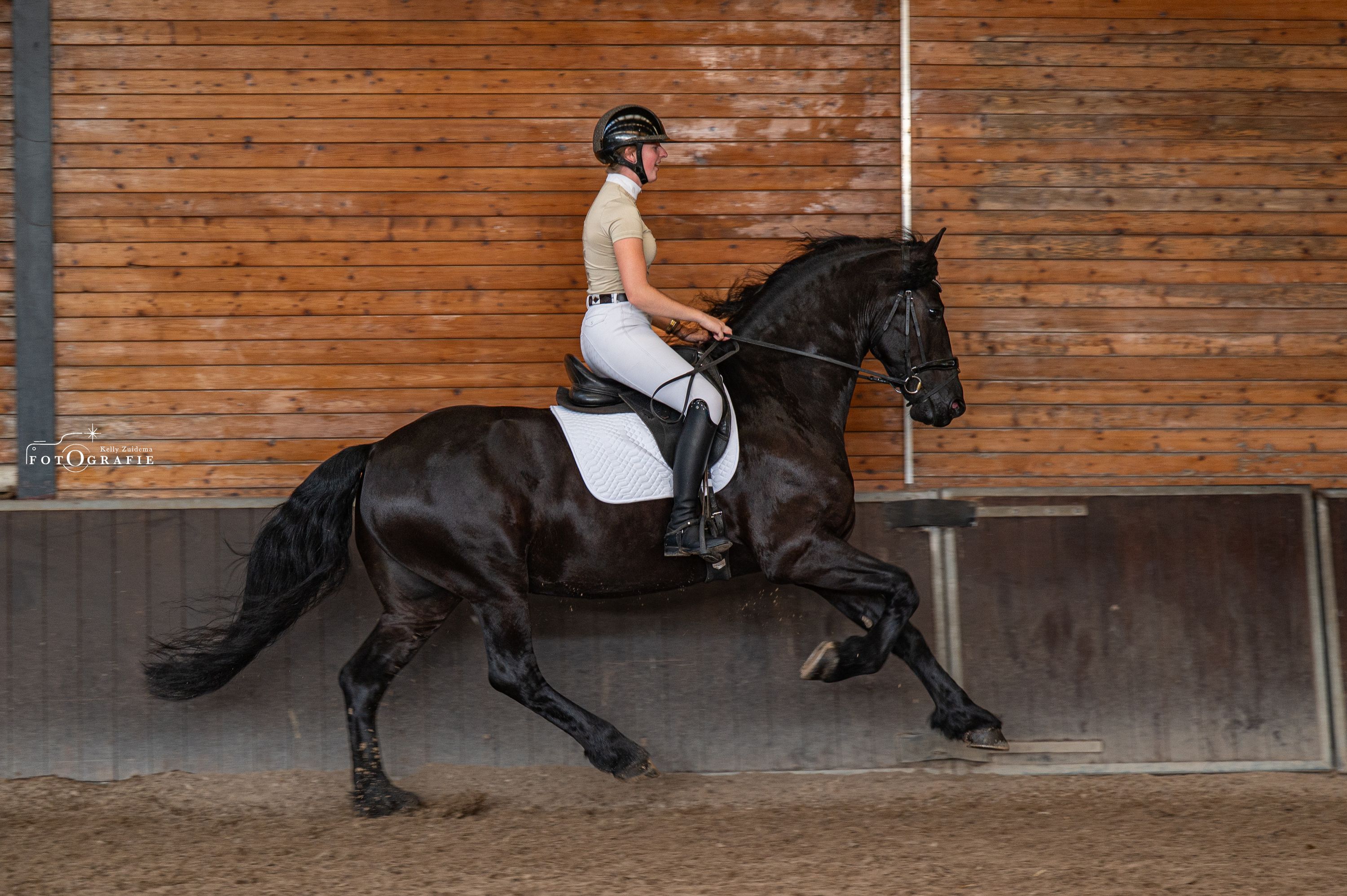 ander recreatie-paard ruin 8 jaar zwart te koop - Foto 3