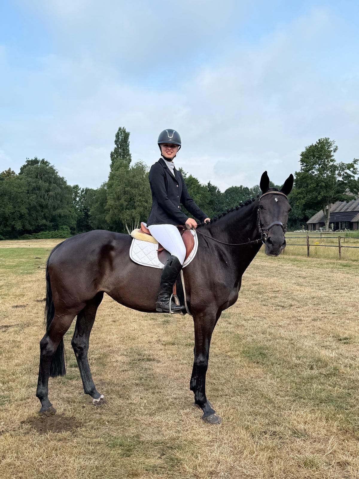 kwpn springpaard merrie 9 ans donkerbruin à vendre - Photo 2