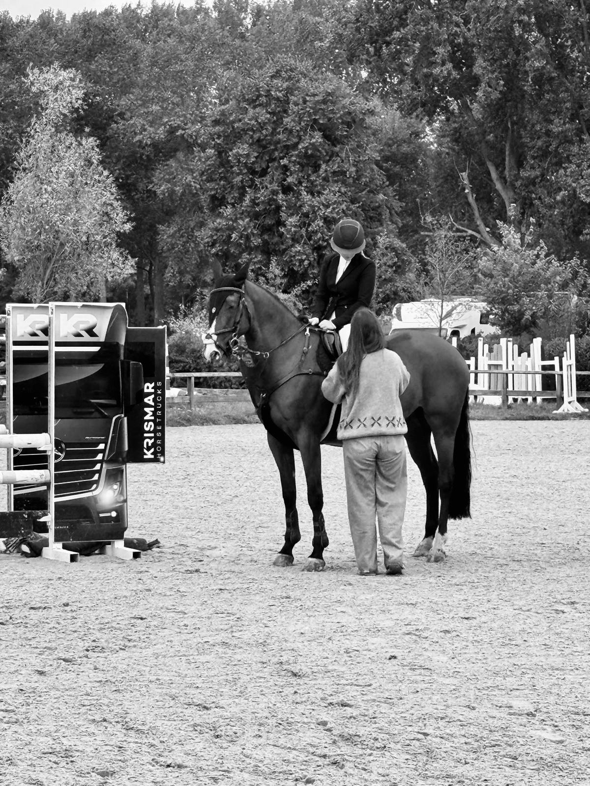 zangersheide springpaard merrie 10 岁 donkerbruin 出售 - 照片 4