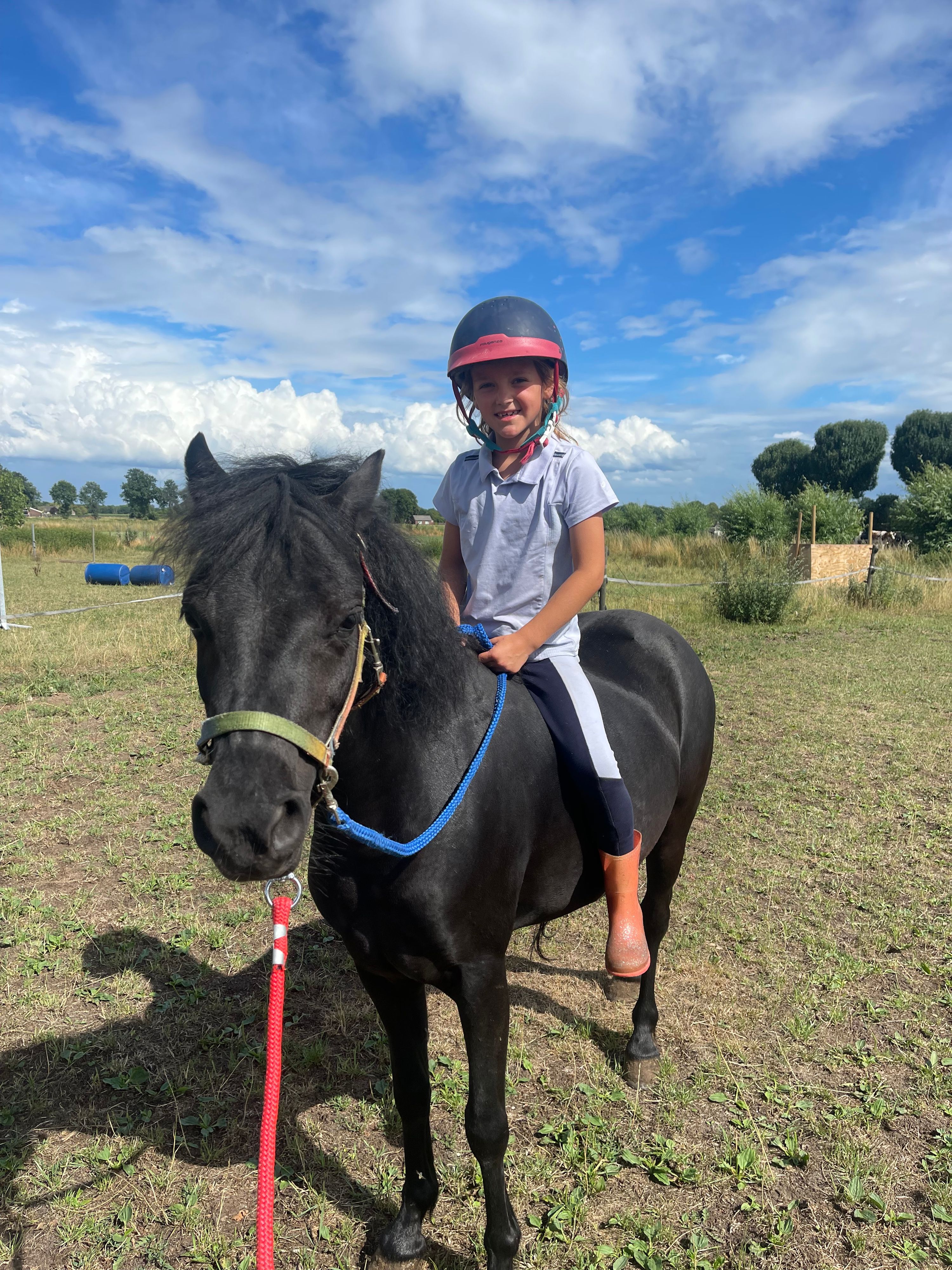 Nice sport pony