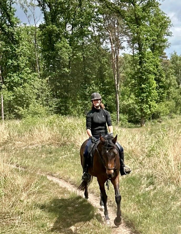 kwpn recreatie-paard merrie 21 lat donkerbruin na sprzedaż - Zdjęcie 2