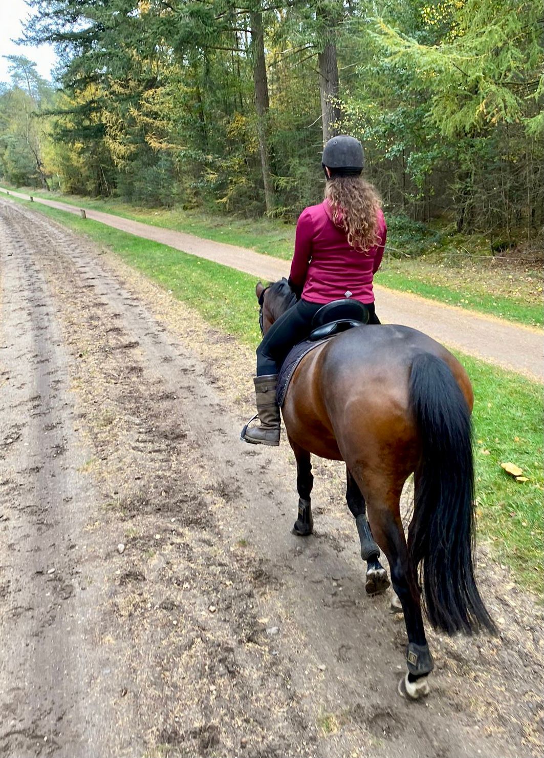 kwpn recreatie-paard merrie 21 lat donkerbruin na sprzedaż - Zdjęcie 5