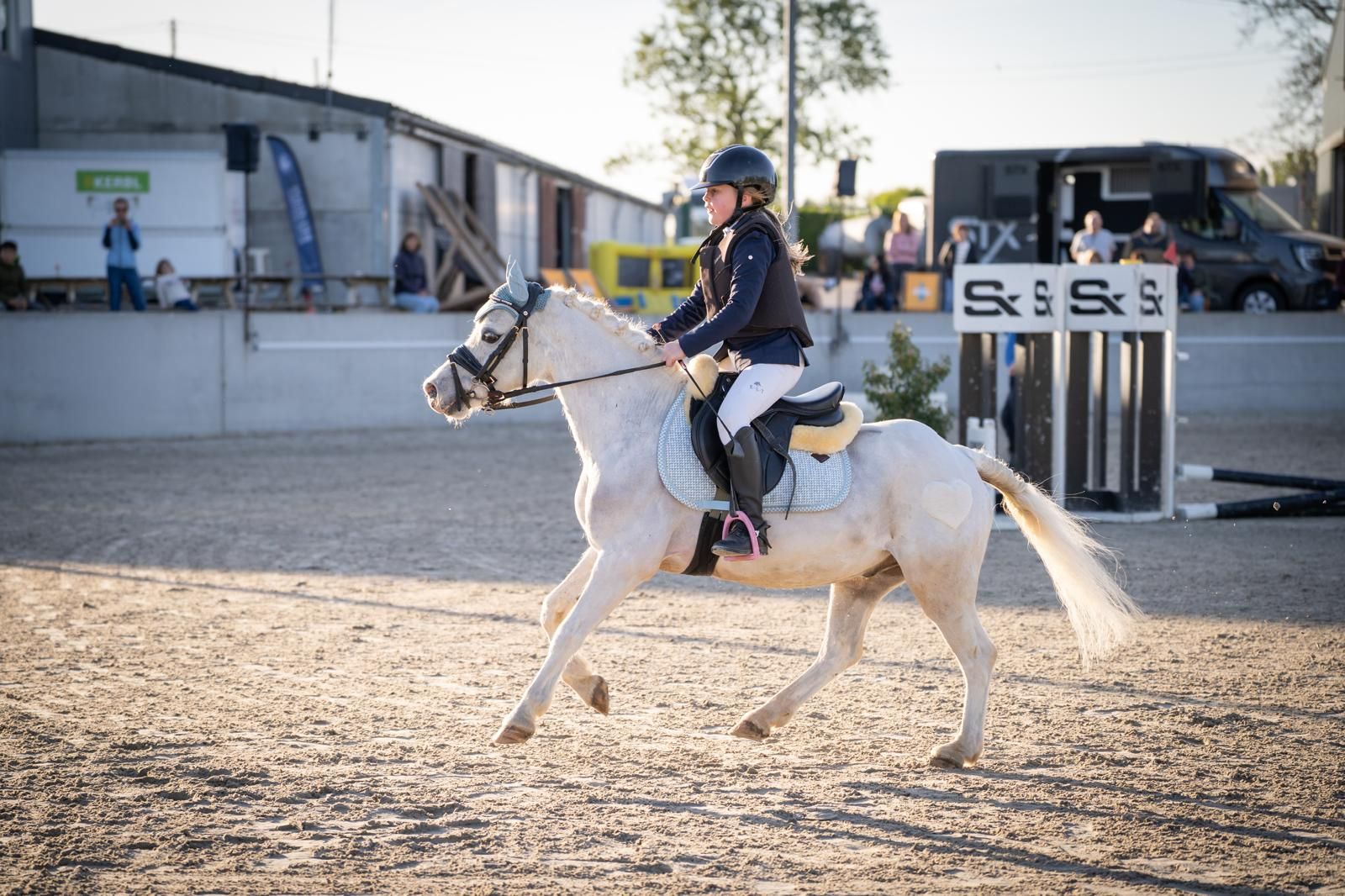 B pony
