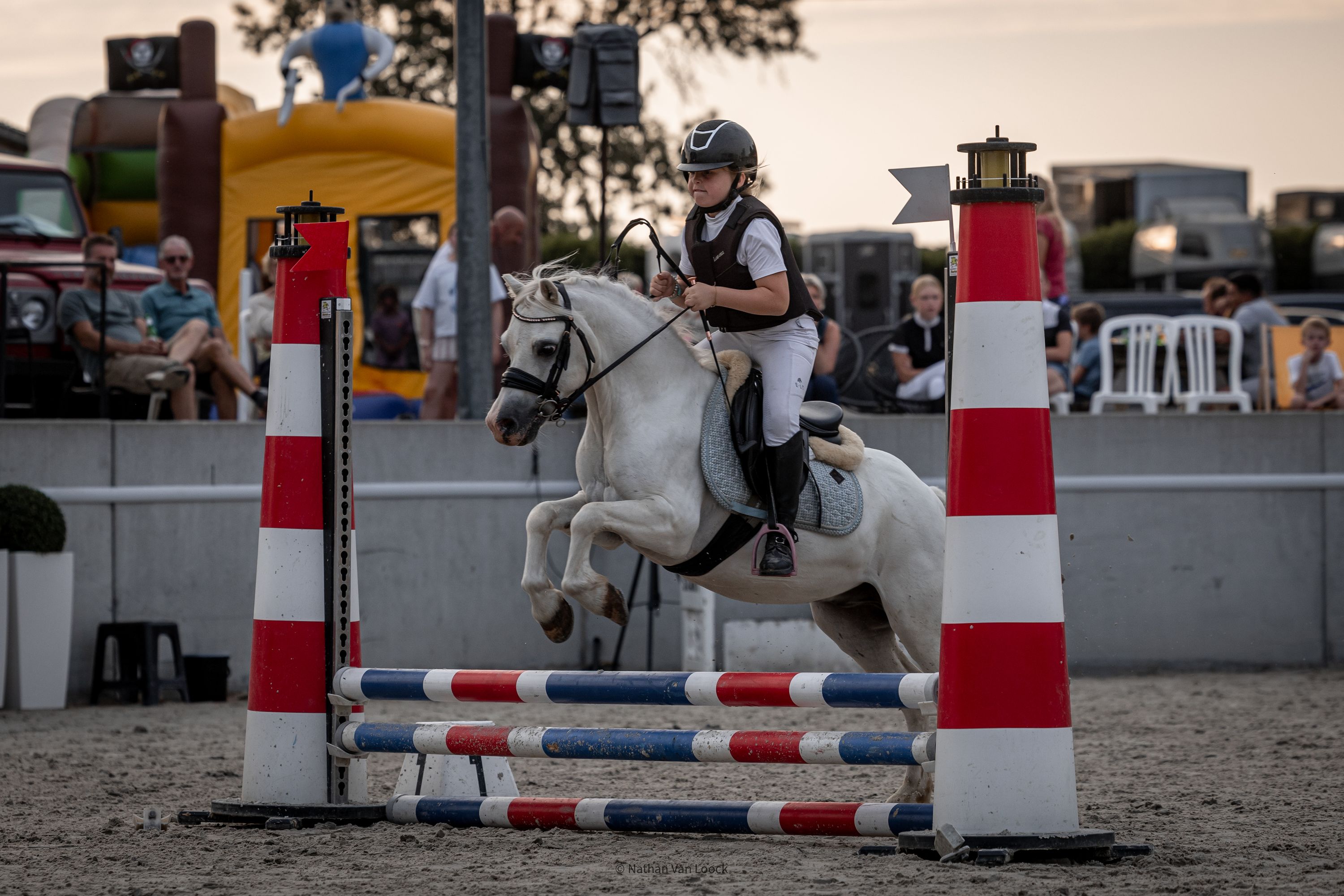 welsh allround-pony ruin 15 岁 schimmel 出售 - 照片 2