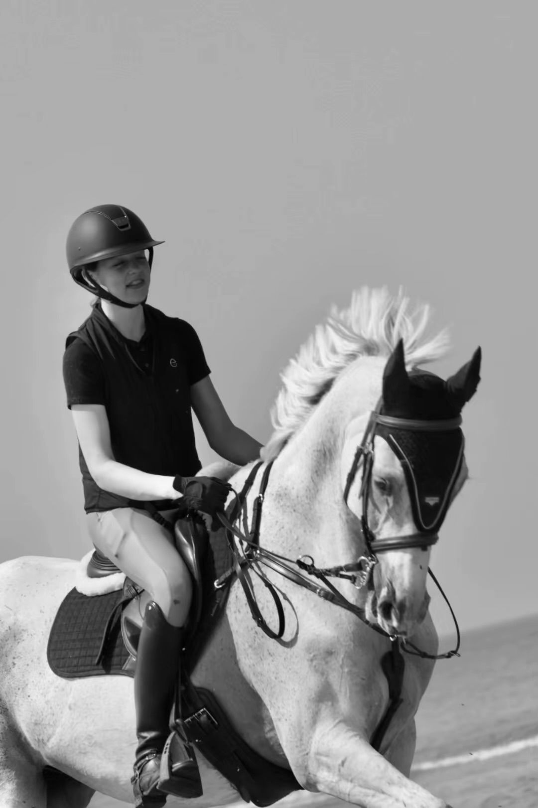 Versatile gelding looks for a golden stable 💛